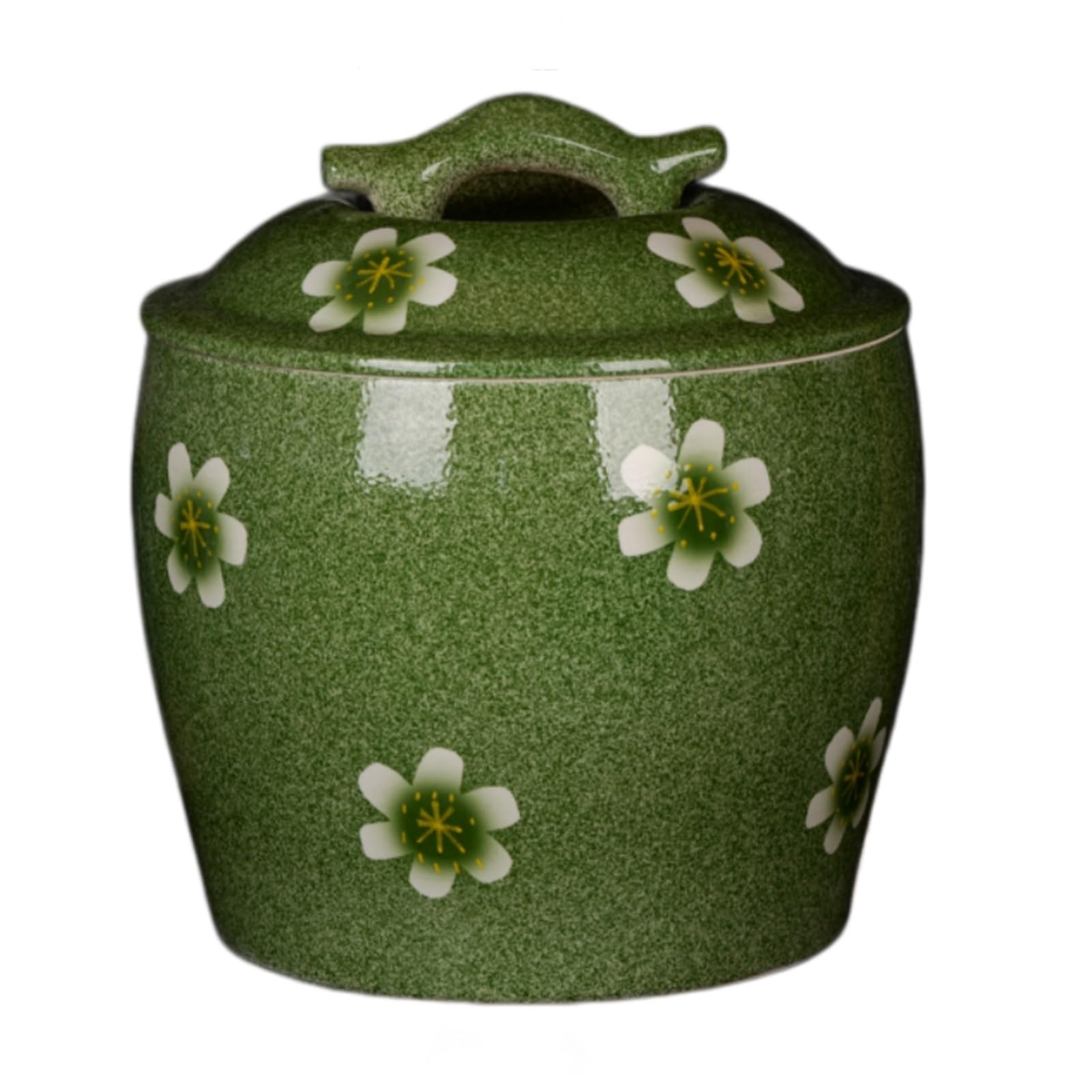 Ceramiczny Storage Container, Pojemnik do przechowywania z Pokrywką, Pojemnik na Musli o Dużej Pojemności do Fasoli, Kukurydzy, Pszenicy, Płatków Owsianych, Pojemnika(10.6x10.2in/27x26cm)