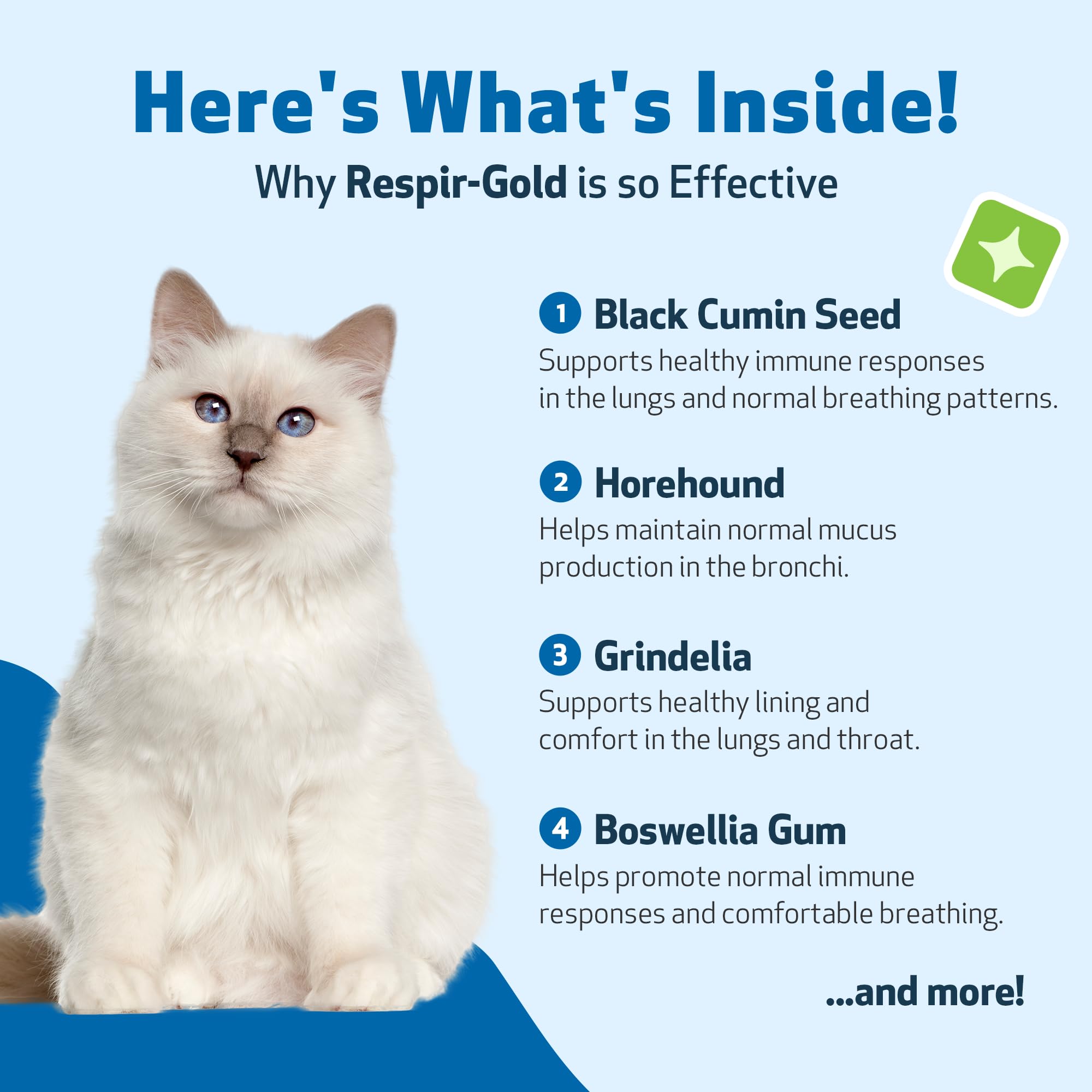 Pet Wellbeing Respir-Gold for Cats - Allergic Airway & Breathing, 4 oz — Amazon image 4