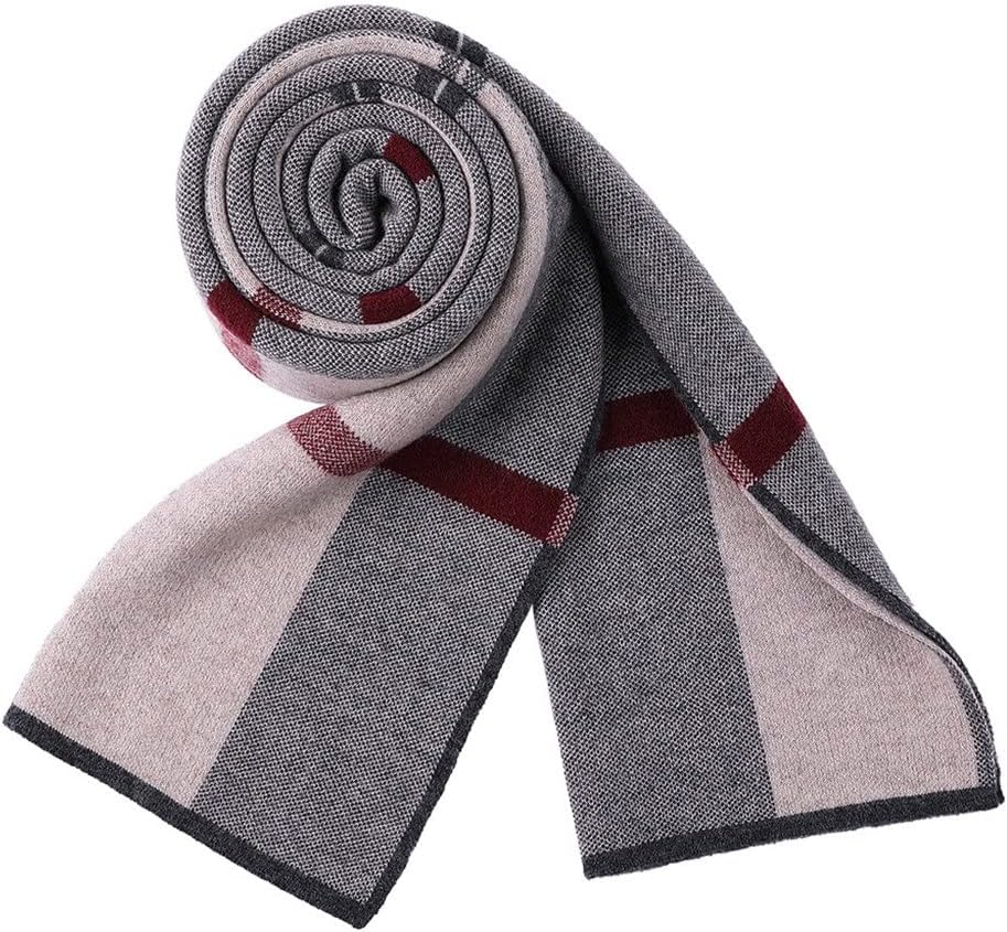 1pcs Fashionable Men's Scarves, Warm in Autumn and Winter, Korean Business All-Match(D)