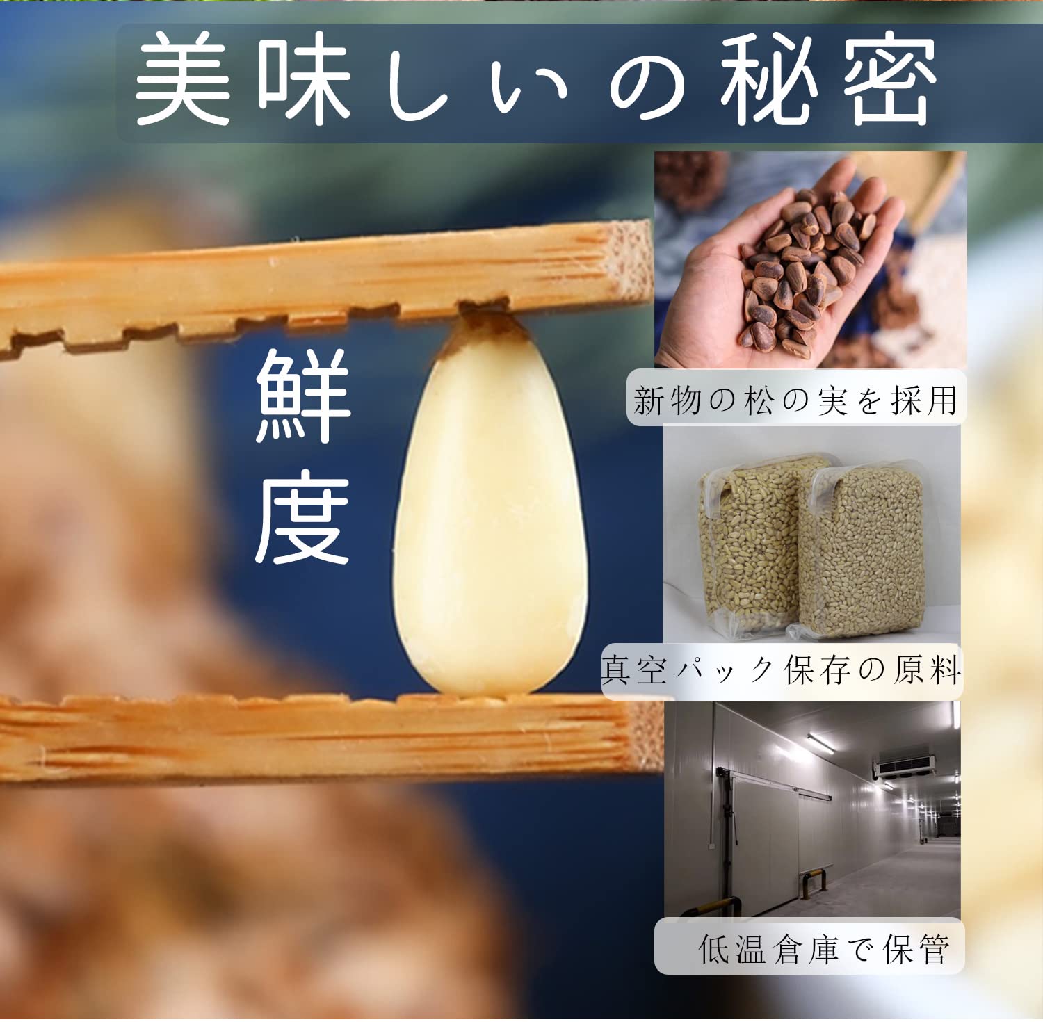 スーパーフード　陸の牡蠣 松の実1KG　製菓材料 薬膳 無添加 無農薬 特級 大粒 松の実100g スーパーフード 陸の牡蠣 無添加 無農薬 製菓