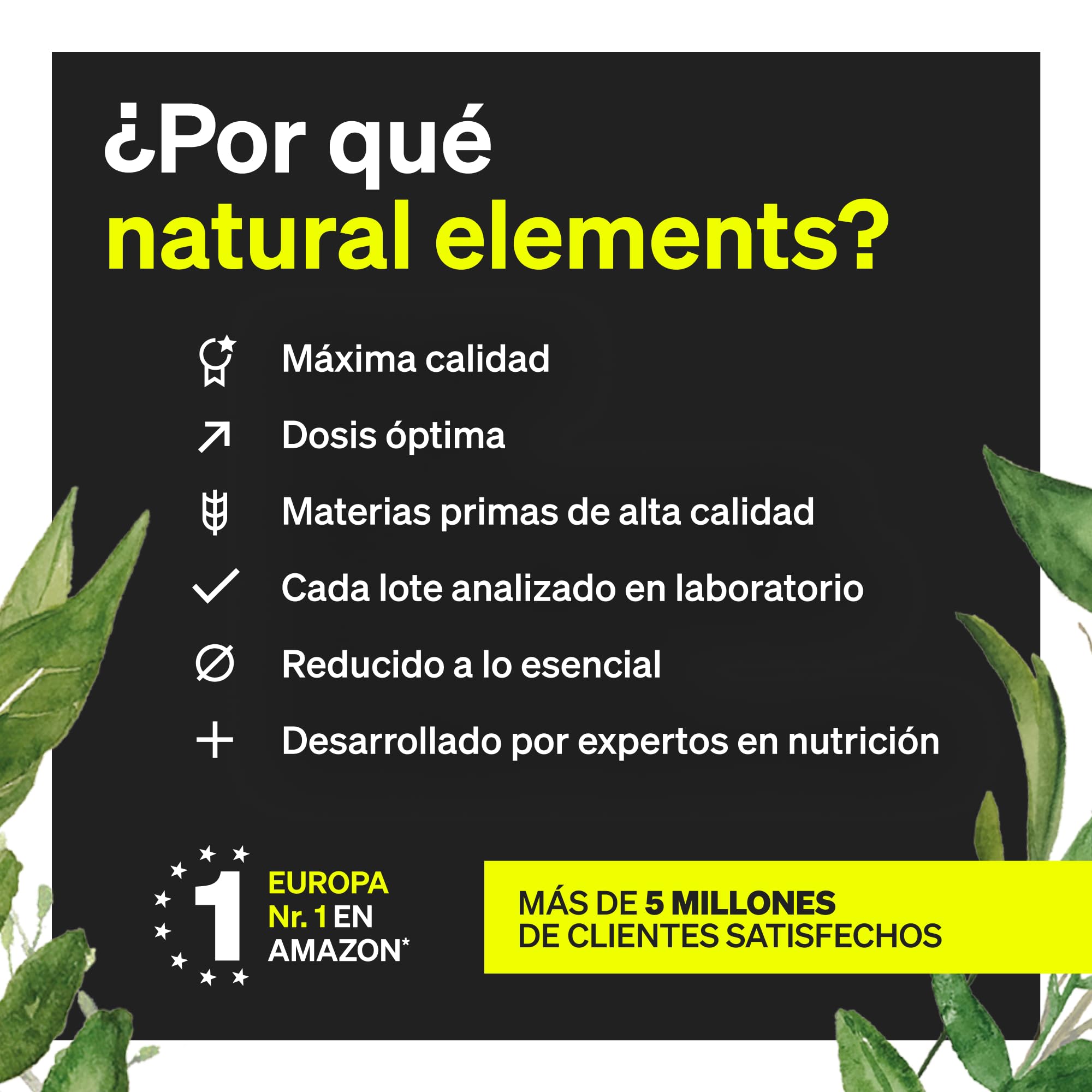 Magtein® L-treonato de magnesio - ALTA PUREZA - 2.083mg de magnesio treonato de alta Absorción - Soporte para tus músculos, huesos y nervios - 90 Cápsulas - Probado en laboratorio