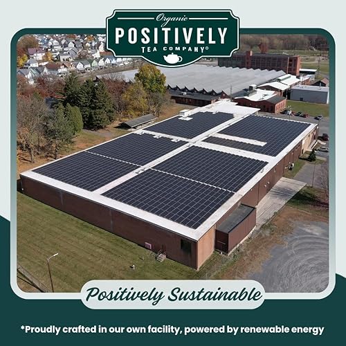 Miniatura 4 de Organic Positively Tea Company, Bolsas de té de hierbas con hojas de hierbabuena, 100 unidades, bolsas de té ecológicas, sin OMG