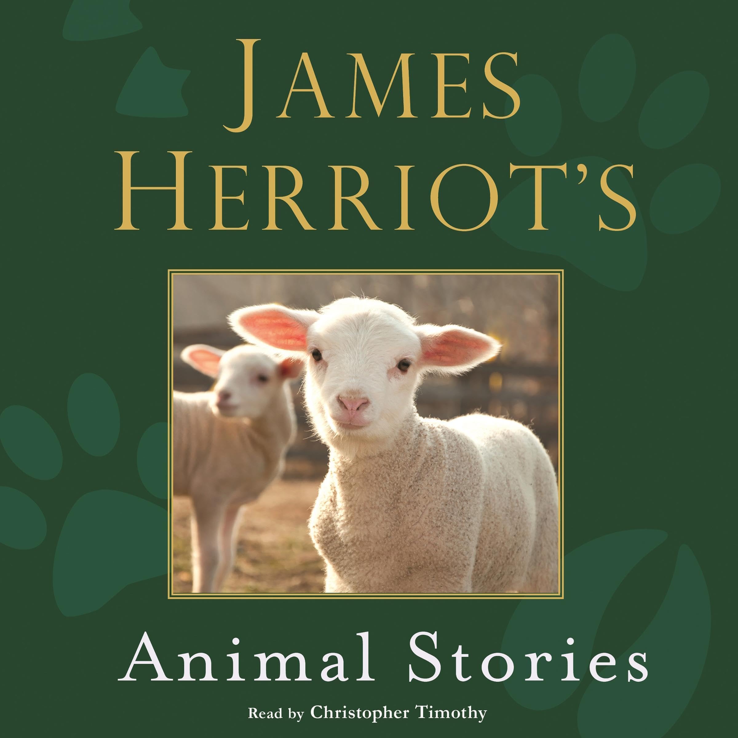 Cover art for James Herriot's Animal Stories