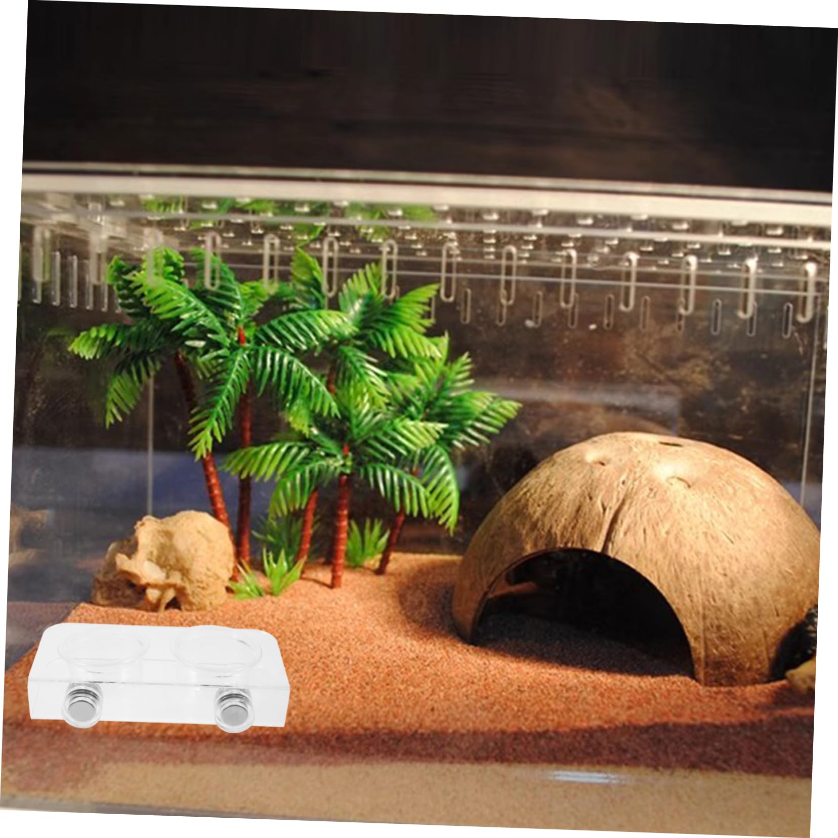 BESPORTBLE 4juegos Cuenco De Alimentación Magnético para Reptiles Plato De Agua y Comida para Lombrices y Reptiles Gran De Limpiar Accesorio para Terrarios