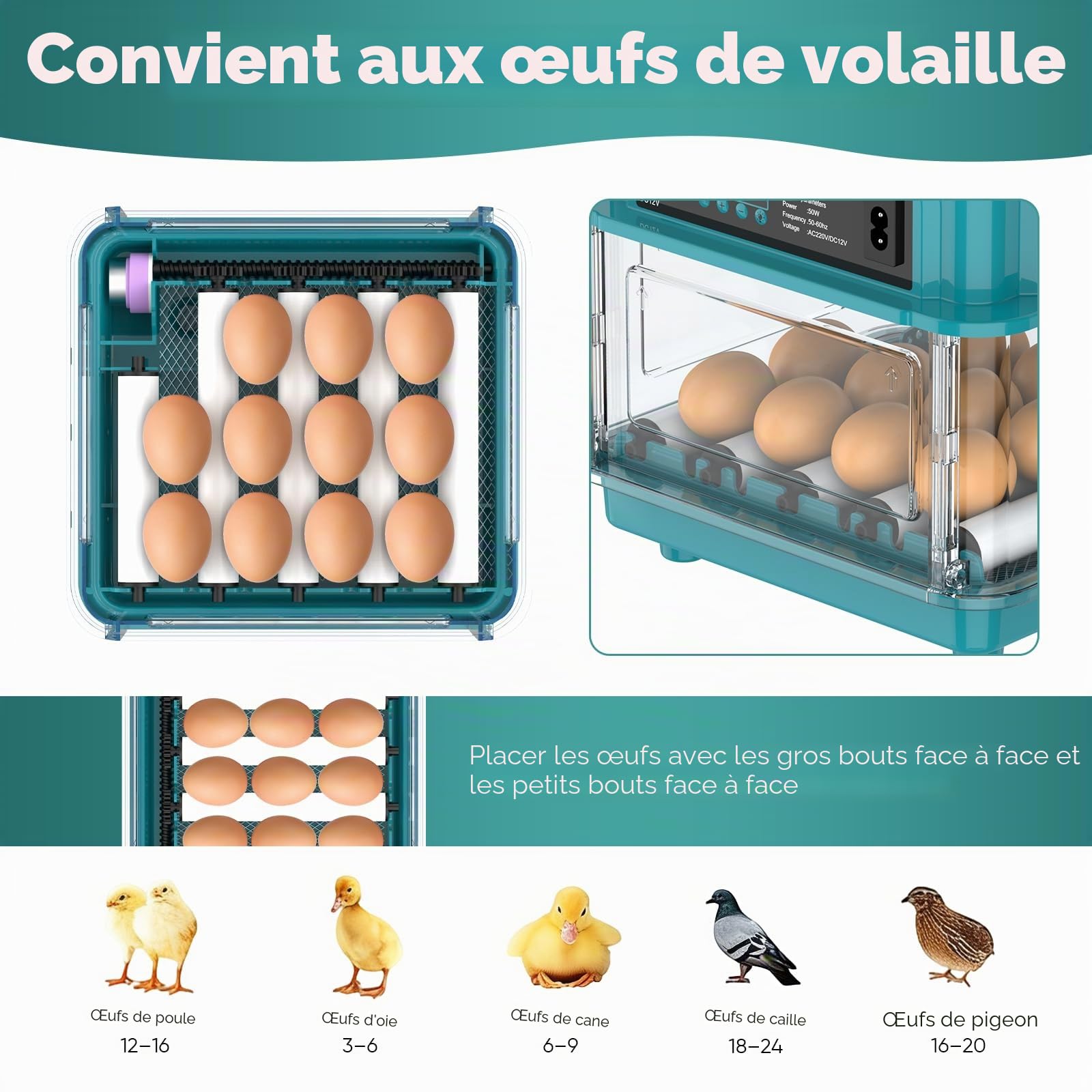 Incubateur entièrement automatique, incubateur pour 10 à 36 œufs avec rotation automatique des œufs et humidification automatique, incubateur avec indicateur d'humidité pour poulets, canards, oies et