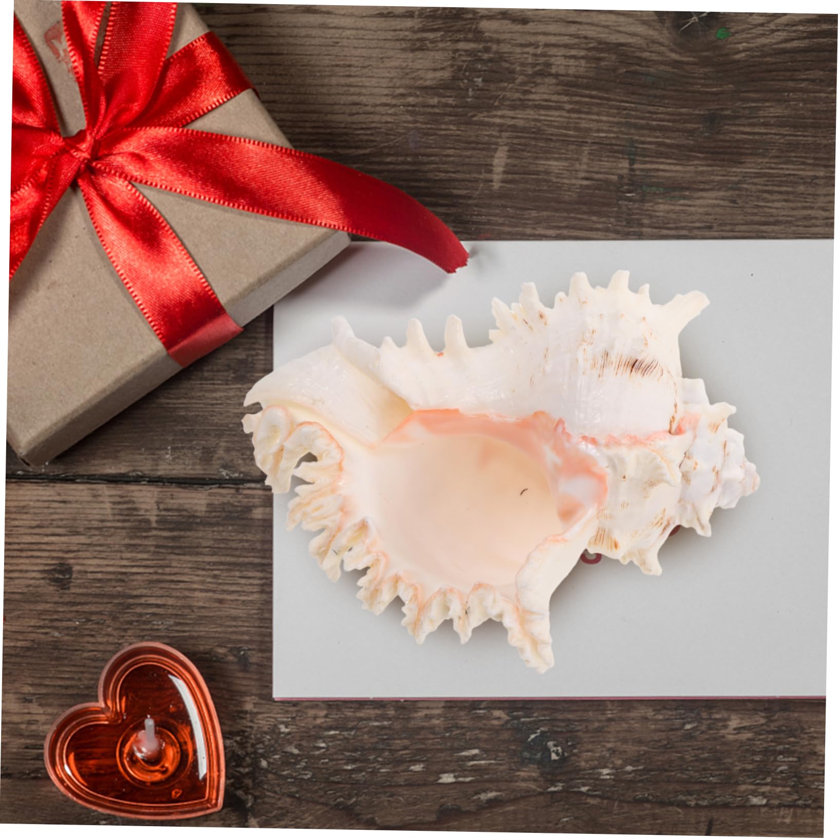ABOOFAN Conchiglie Naturali Beige in Conch per Decorazioni Versatili da Vase Filler, Perfette per Centrotavola Matrimonio a Tema Spiaggia e Arredamento