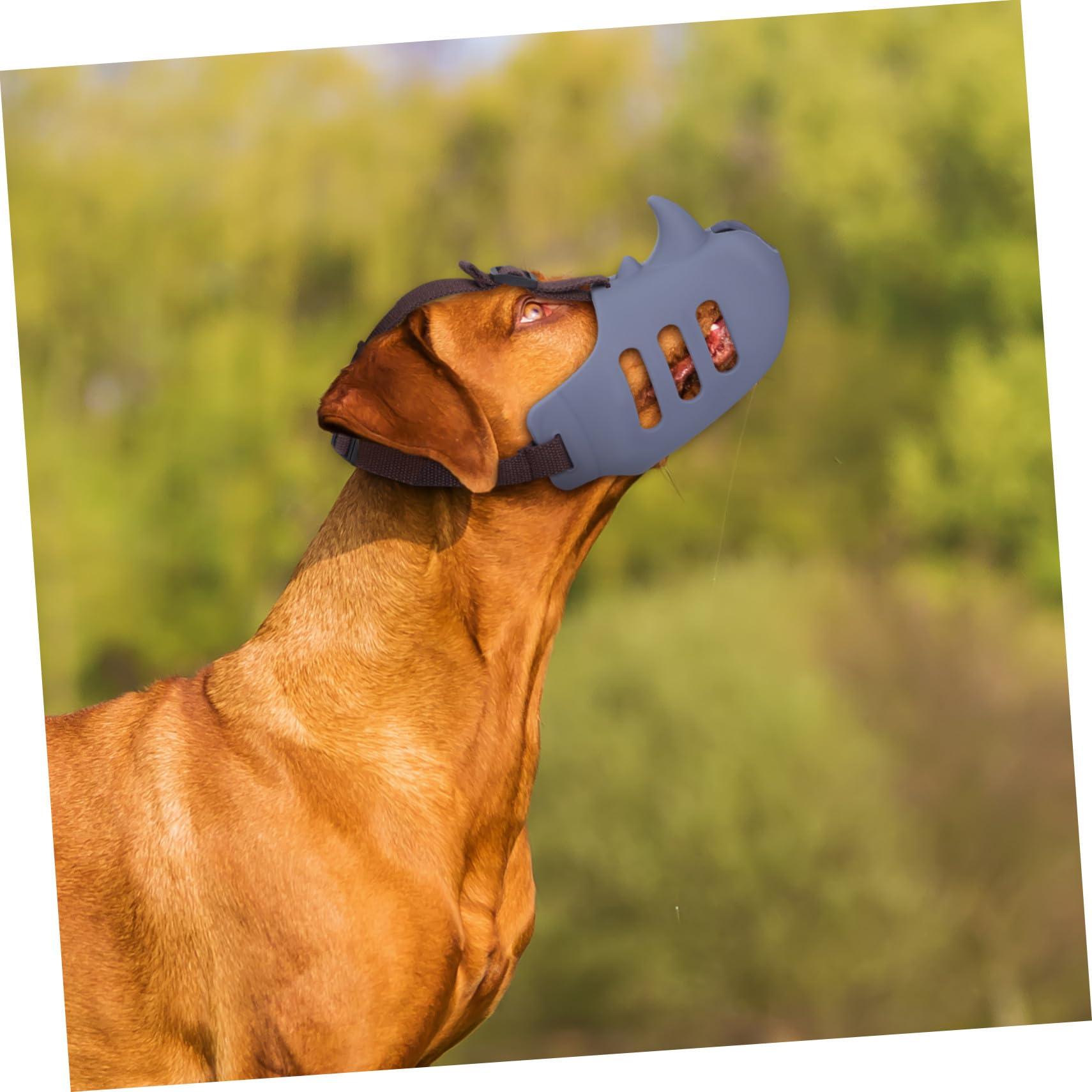 POPETPOP 3pezzi Museruola per Cani Cestino in Silicone Antiabbaio per Prevenire i Morsi Cinturino Regolabile Protezione per Bocca del Cane Adatta Piccole Medie e Grandi