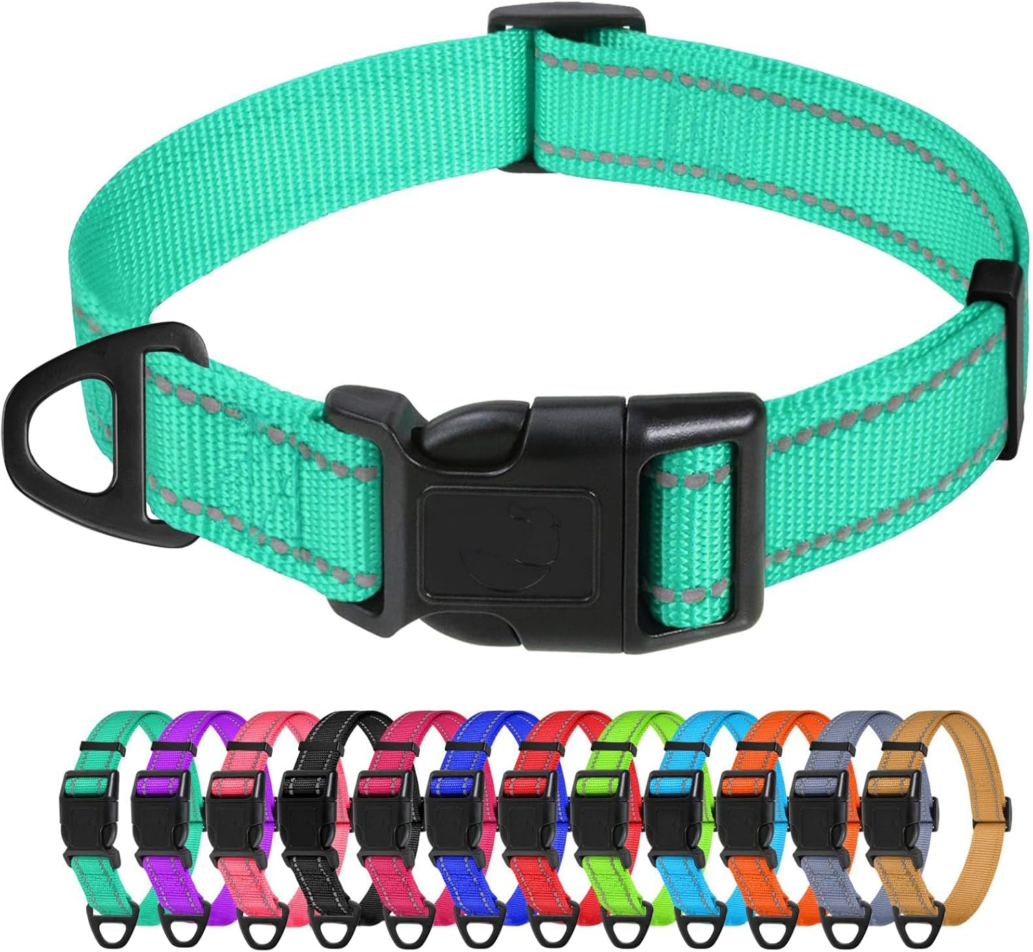 TagME Small Dog Collar, Reflective Puppy Collar, Turquoise, 5/8" Width