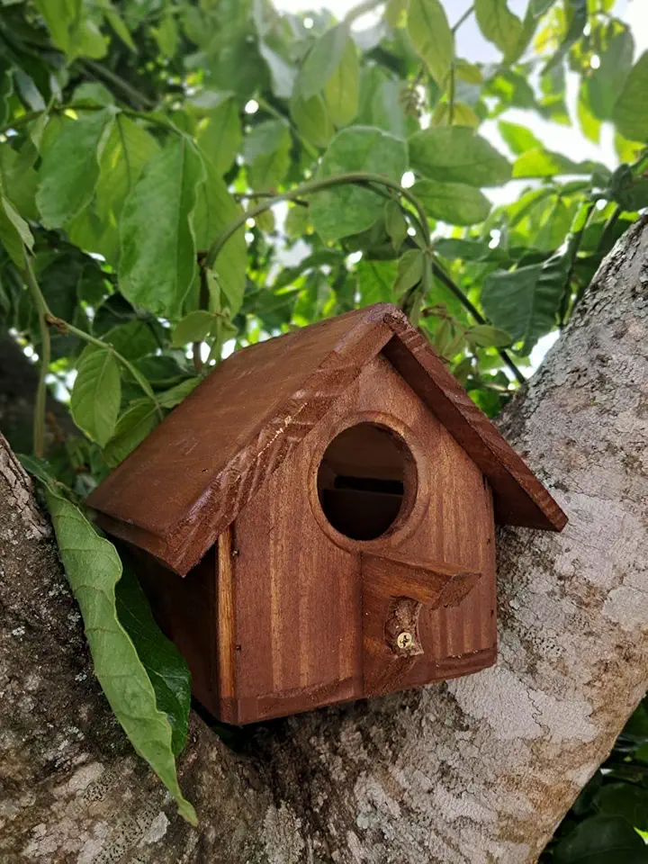 Casinha de Passarinho de Madeira Maciça, 12x12x14cm, Pintada à Mão Cor Imbuia.