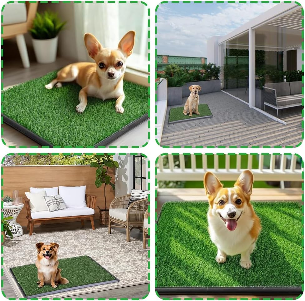 Petgrow Reusable Dog Grass Potty with Tray | Pet Puppy Loo System, 2× Artificial Grass Turf Replacement & Washable Pee Pads,Rapid Drainage/Less Stink, Box Toilet (Medium-20x25In)