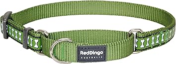 Red Dingo Reflective Martingale Dog Collar, Large, Green
