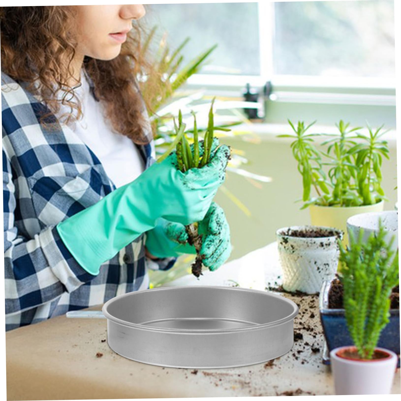 Sosoport Edelstahl Keimschale Für Garten Anzuchtschale Mit Optimaler Nährraum Für Pflanzen Robuste Und Langlebige Startschale Für Gartenliebhaber