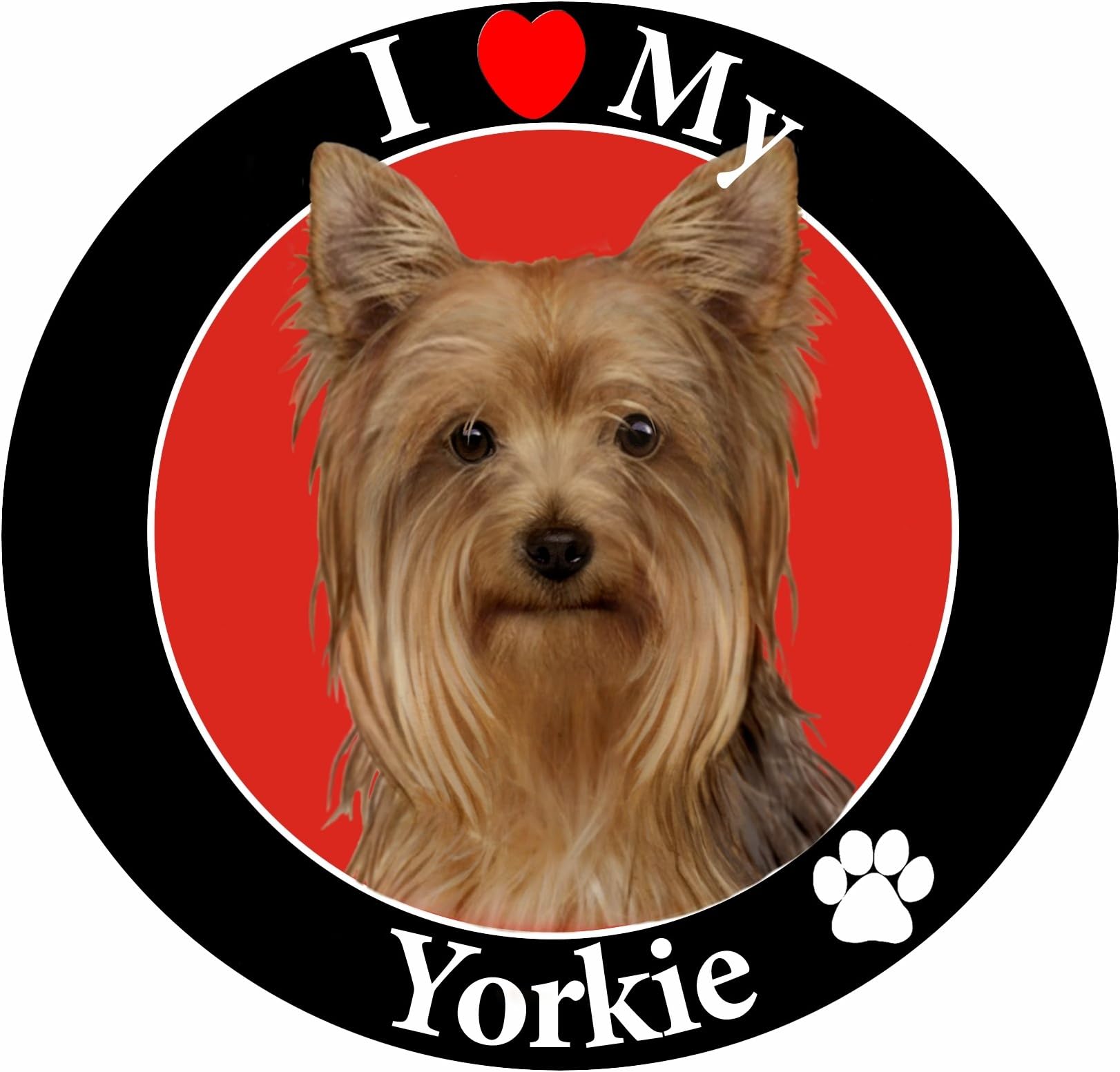 E & S Pets Car Magnet, Yorkie