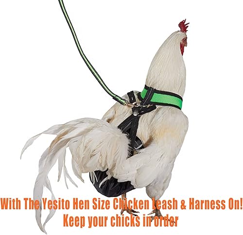 Miniatura 7 de Arnés de pollo tamaño gallina con correa a juego de 6 pies lavable para mascotas, para pollitos, gansos, patos y más - Facilita el entrenamiento y