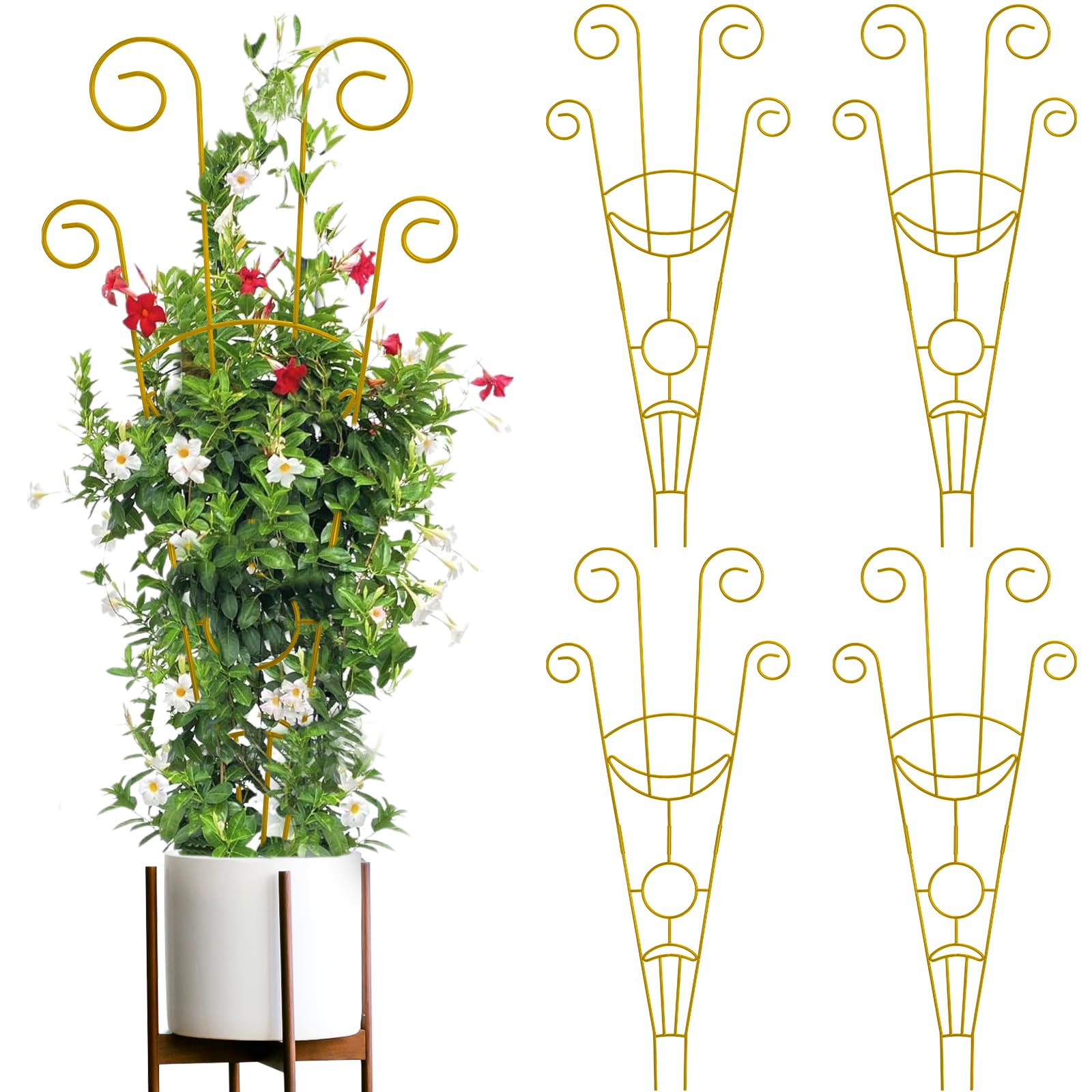 ZOUTOG Trellis 4 Pack 30 Golden Moon