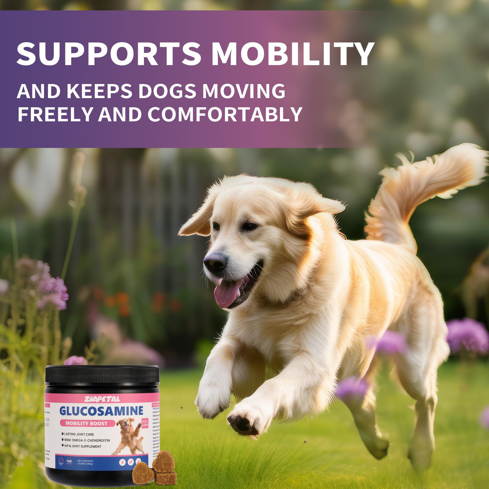 Senior Dog Hip & Joint Supplement – Chicken Flavor Soft Chews with Glucosamine, Chondroitin, MSM, Yucca & Dual Omega 3-6 – Daily Multivitamin for Mobility & Vitality – ZOAPETAL - image 3