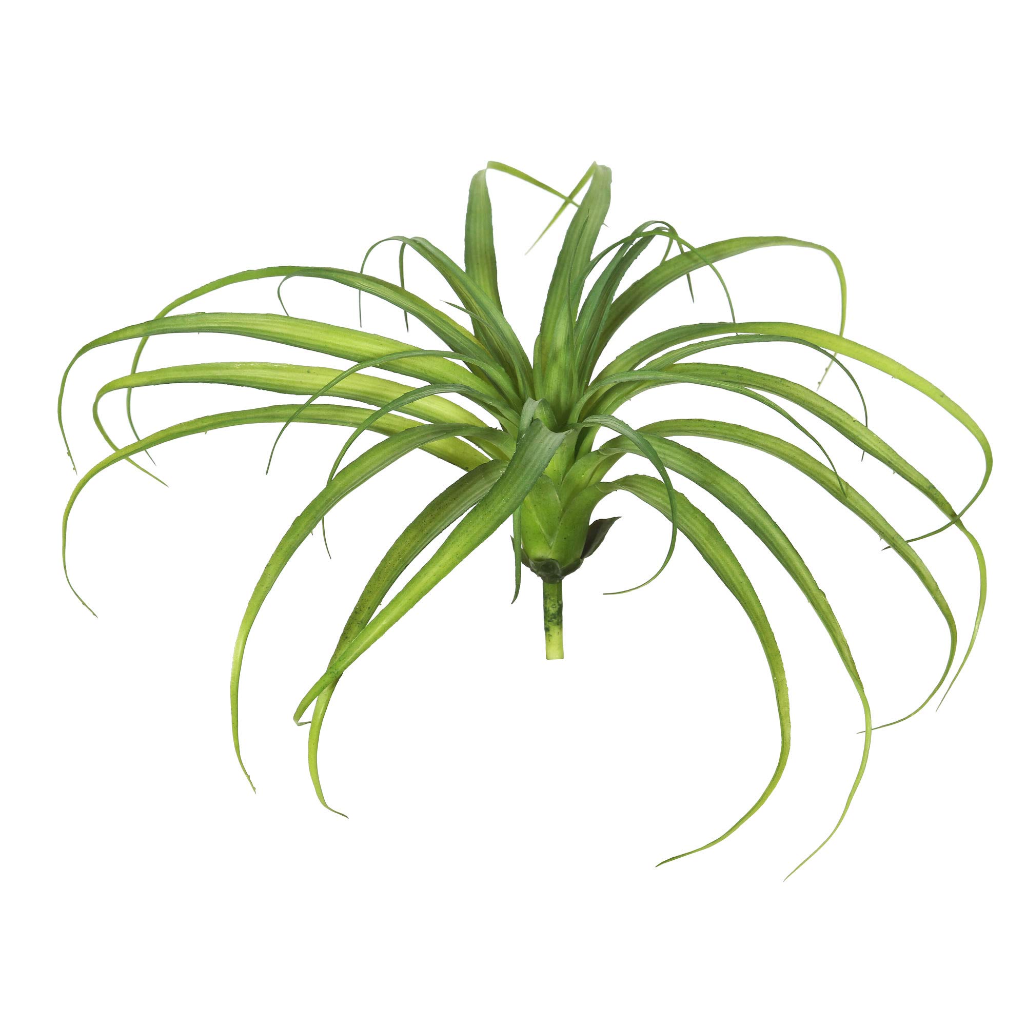 Vickerman Everyday 14