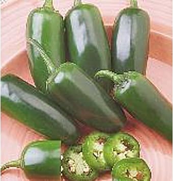 Fooled You Jalapeno Hot Peppers Seeds 20+ Seeds | Non GMO | Vegetable Fruit Herb Flower Seeds for Planting | Home Garden Greenhouse Pack