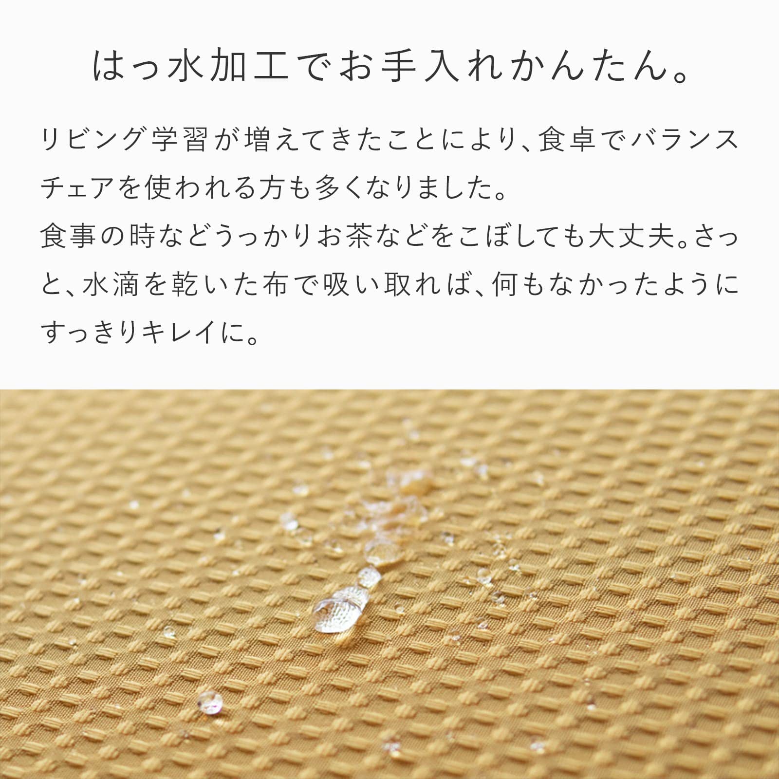 Amazon｜バランスラボ バランスイージー専用はっ水カバー スカイブルー 