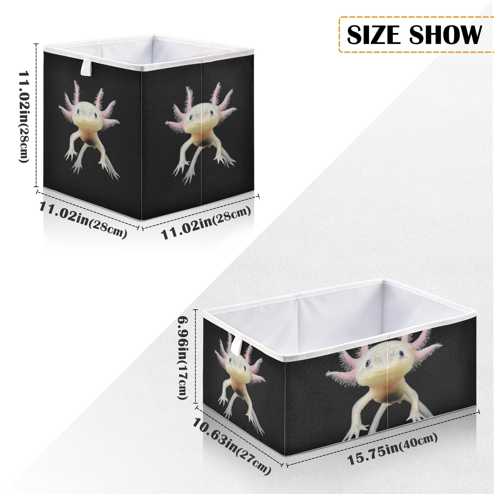 Oyihfvs Real Axolotl Swimming Salamander Front Side with Dark Background Rectangle Foldable Cube Storage Basket Collapsible Fabric with Handles Organizer Clothes for Home Bedroom 15.7 x 10.6 x 7 in