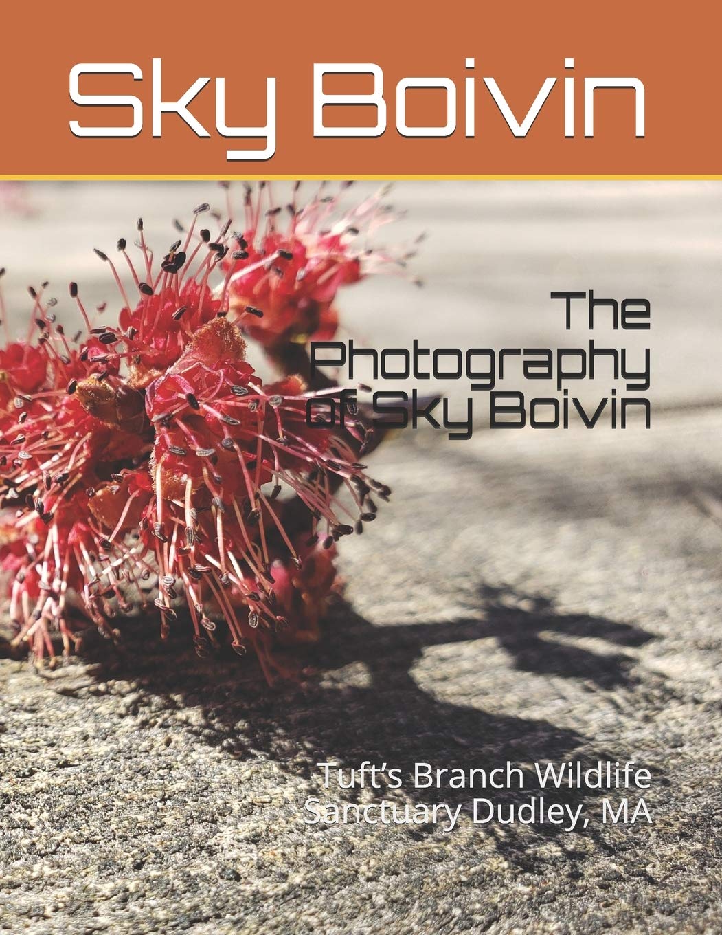 The Photography of Sky Boivin pour une décoration salon nature zen