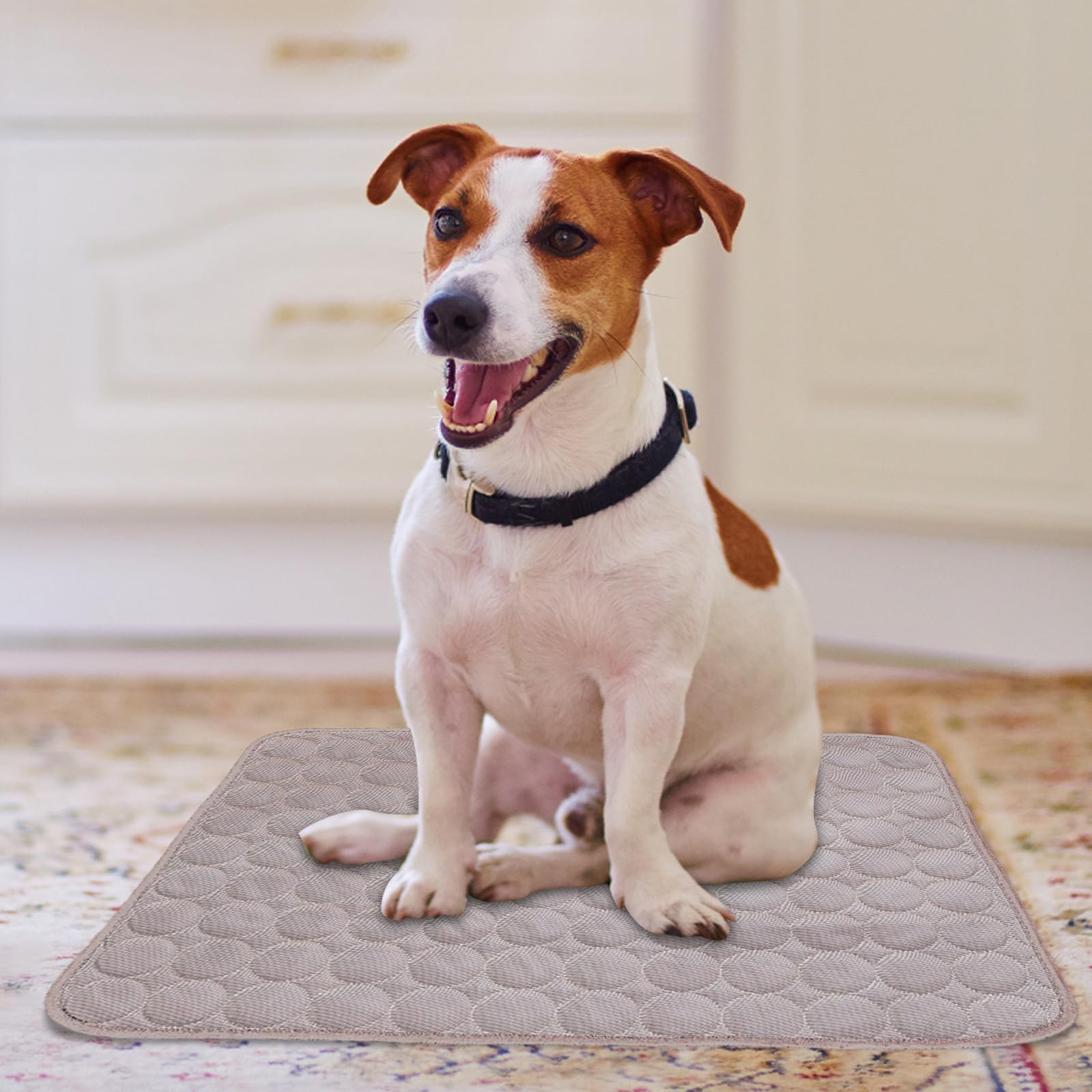Générique Tapis Autorefroidissant Portable pour Petits et Moyens Animaux, Matelas en Gel Étanche pour Chaleur Extrême, pour Chiens, Chats et Voyage