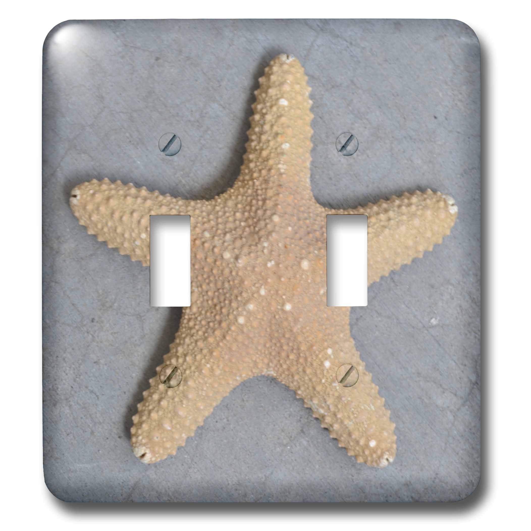 Interrupteur à baïonnette de prestige 3dRose Starfish Shell aux éclats colorés