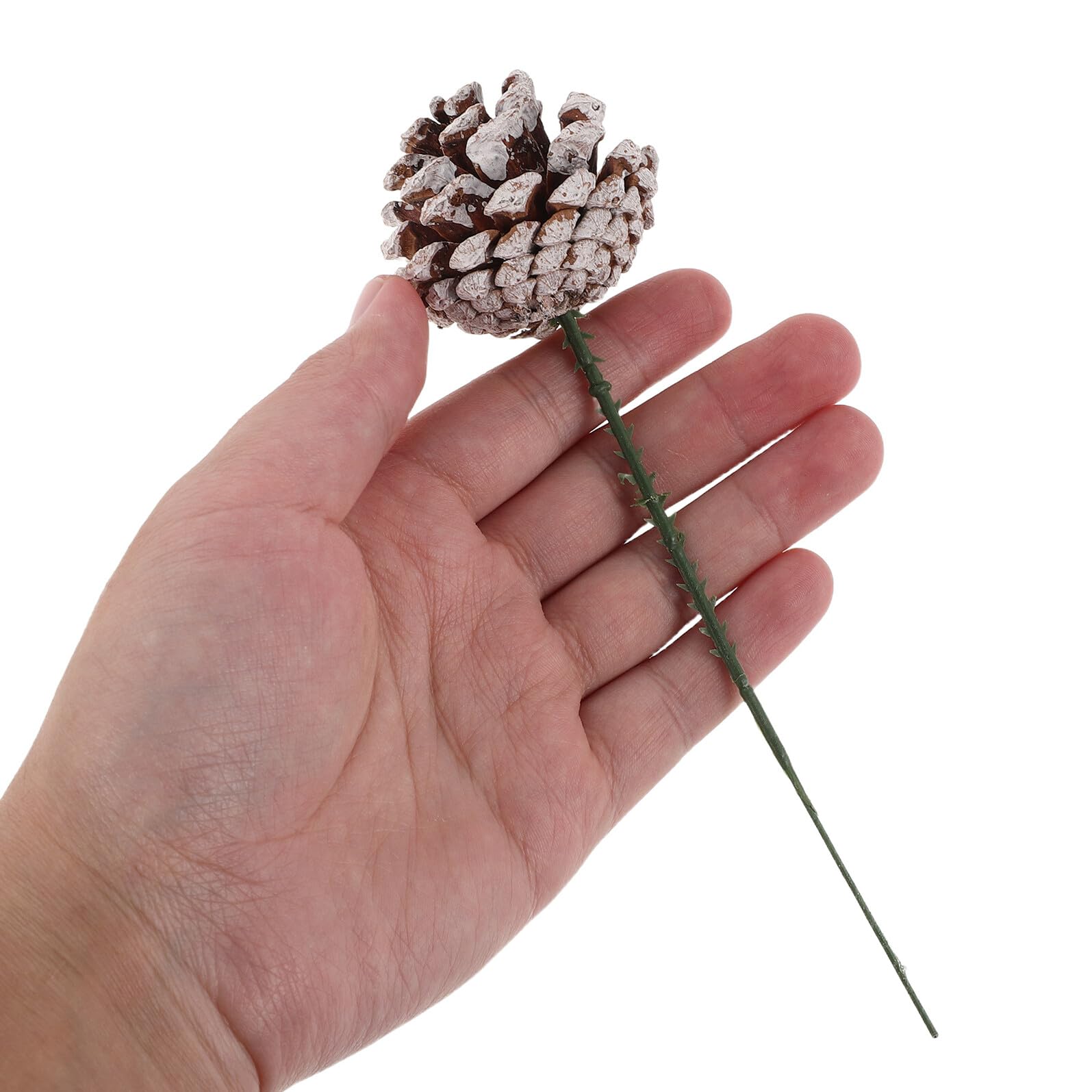 Piñas Decorativas Naturales para Manualidades 30 Piezas, Surtido de Piñas de Pino (4-7 Cm), Adornos Rústicos para Guirnaldas y Arreglos, Adecuado para Fiestas y Decoración