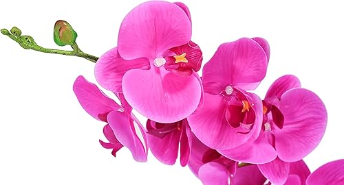 Miniatura 5 de Maceta de orquídea artificial, arreglo artificial de faleanopsis con florero, flor de orquídea decorativa, bonsái con 9 luces LED (blanco)