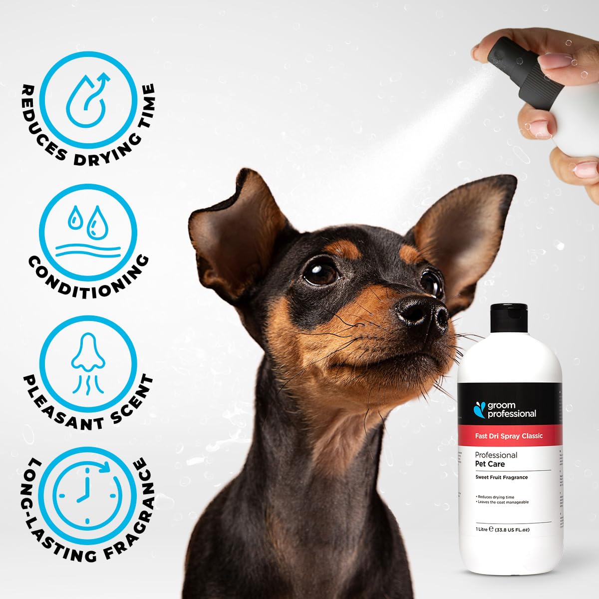 GROOM PROFESSIONAL Fast Dri Classic Spray (1 L) – Schnelltrocknendes Spray für Hunde & Katzen, Reduziert Trockenzeit um 50%, Mit Pflegestoffen, Ohne Rückstände, UK