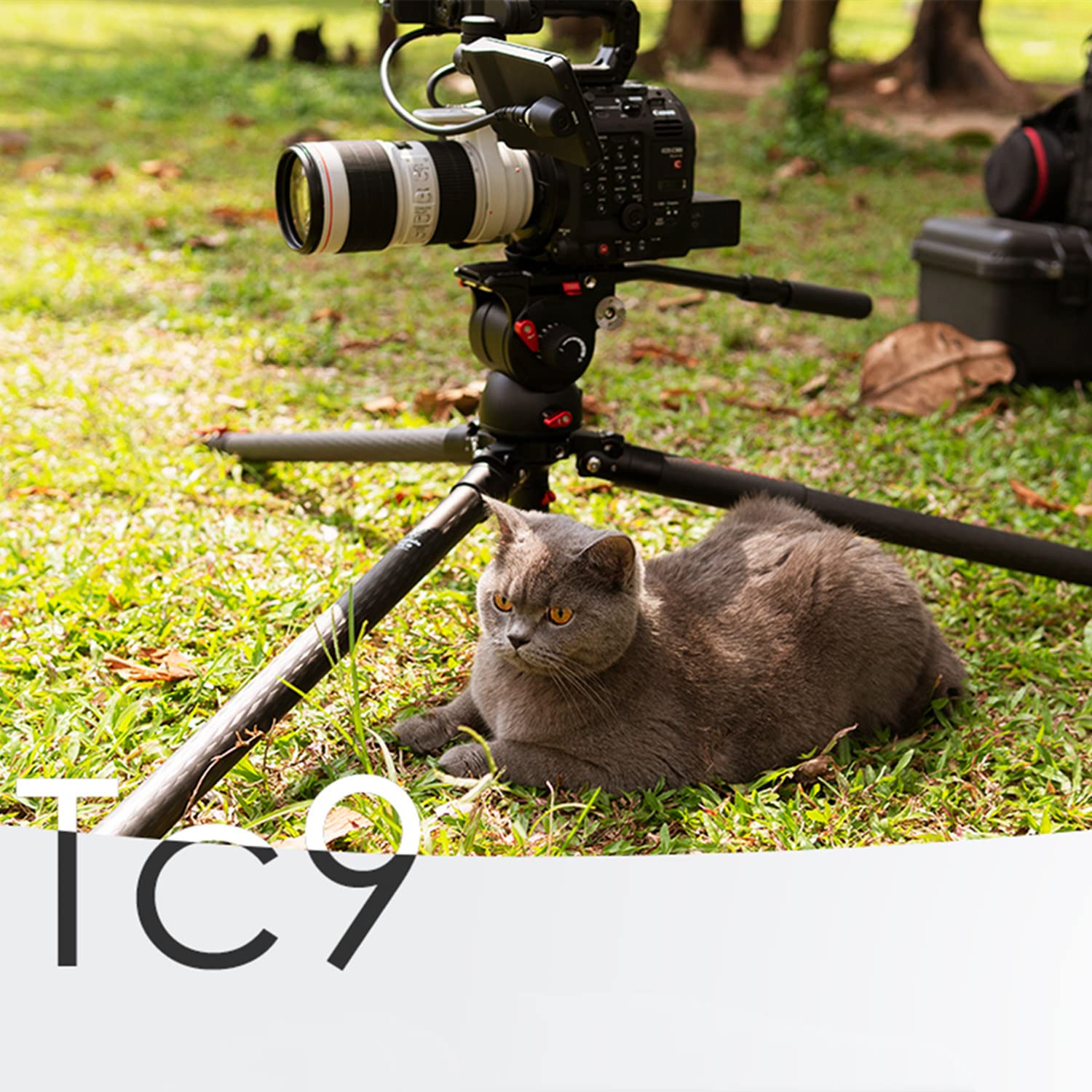 IFOOTAGE Gazelle TC9 Trípode de Cámara de Carbono, Trípode de Video Profesional de 3 Secciones con Manija de Liberación Rápida, Compatible con Videocámara DSLR ，165 cm
