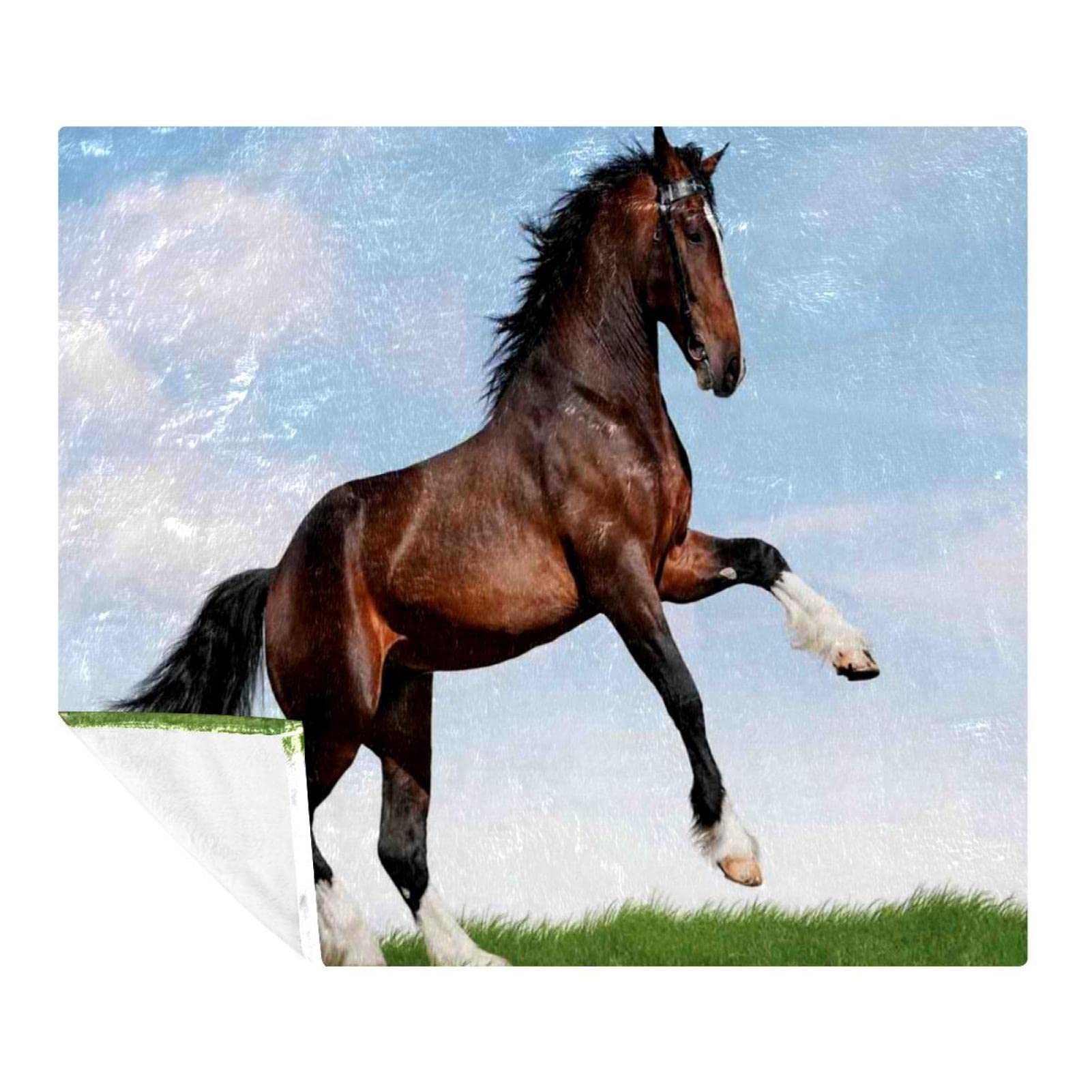 Couverture en peluche couverture de sieste chaude et douce microfibre cheval