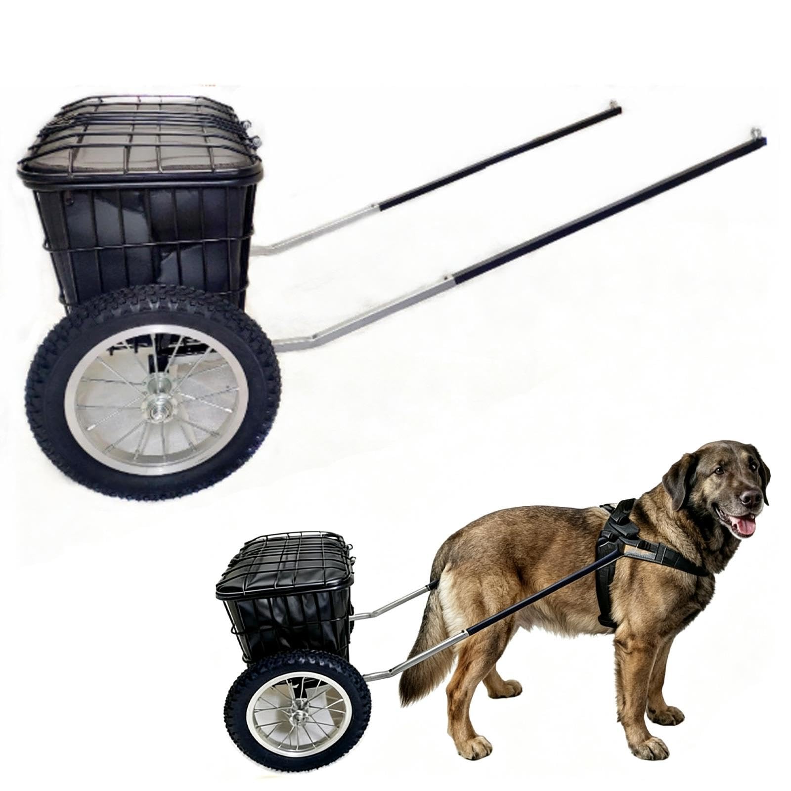 Carretto trainabile da cani per passeggiate con fascia pettorale regolabile