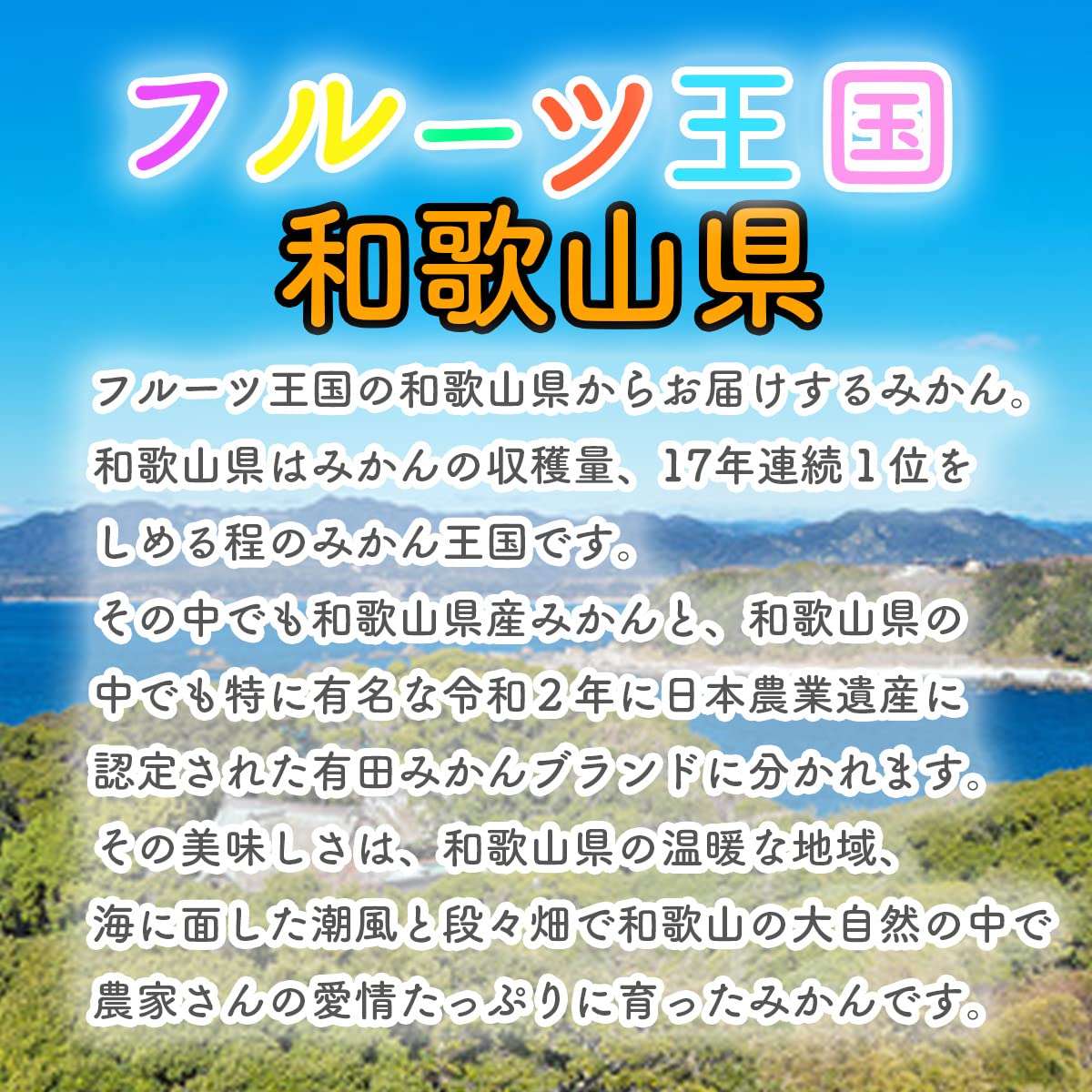 Amazon.co.jp: みかん 和歌山 有田みかん お歳暮 誕生日 プレゼント 