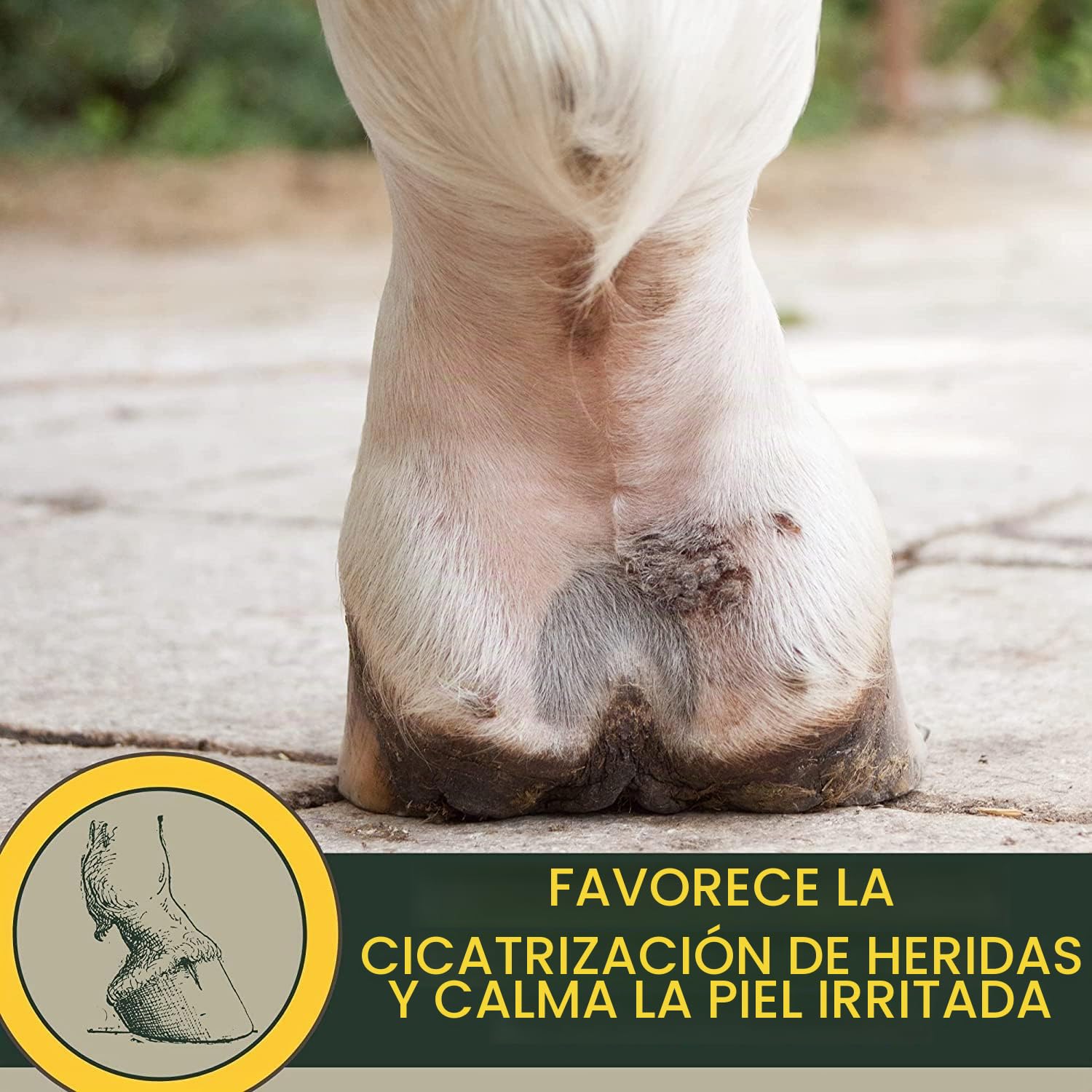 Pomada de Zinc Caballo Perro Gato I para Heridas I Crema de Zinc para Heridas Abiertas I para Eczema con Zinc para Picazón de los Malleros para Curación de Heridas I Curación de Heridas Animales 250ml