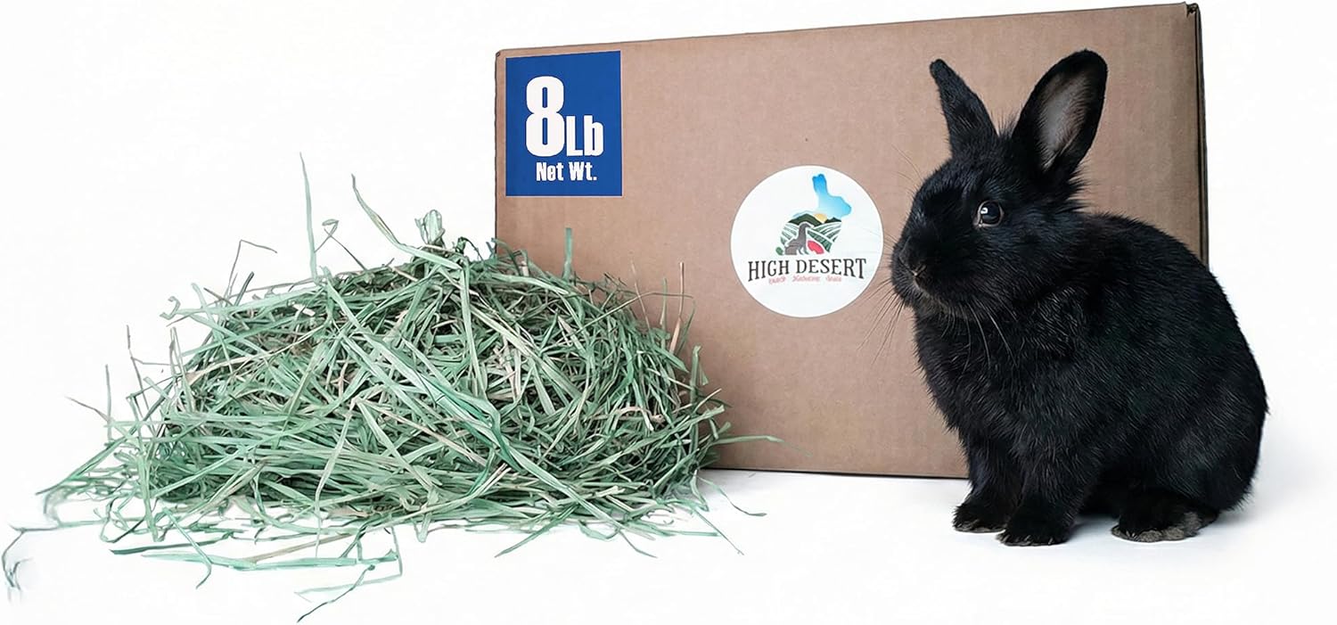 High Desert Orchard Grass Hay, Natural Orchard Hay for Rabbits Guinea Pigs Hamsters and Chinchillas, Soft Leaf Texture for Grazing and Foraging, Small Pet Supplies, Fresh Hand Packed Hay Box, 8 Lb