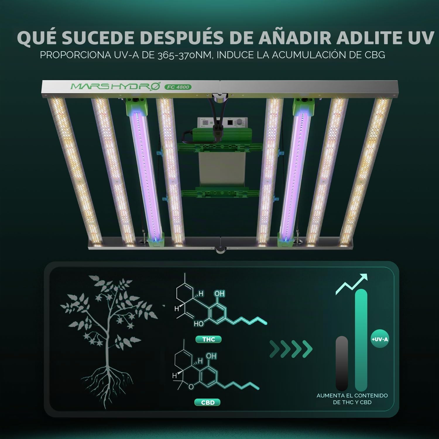 Lámpara de Cultivo LED MARS HYDRO ADLITE UR3015 para Plantas de Interior - Estimula la Fotosíntesis, Fortalece la Resistencia y Favorece la Floración - Luz de Cultivo Profesional
