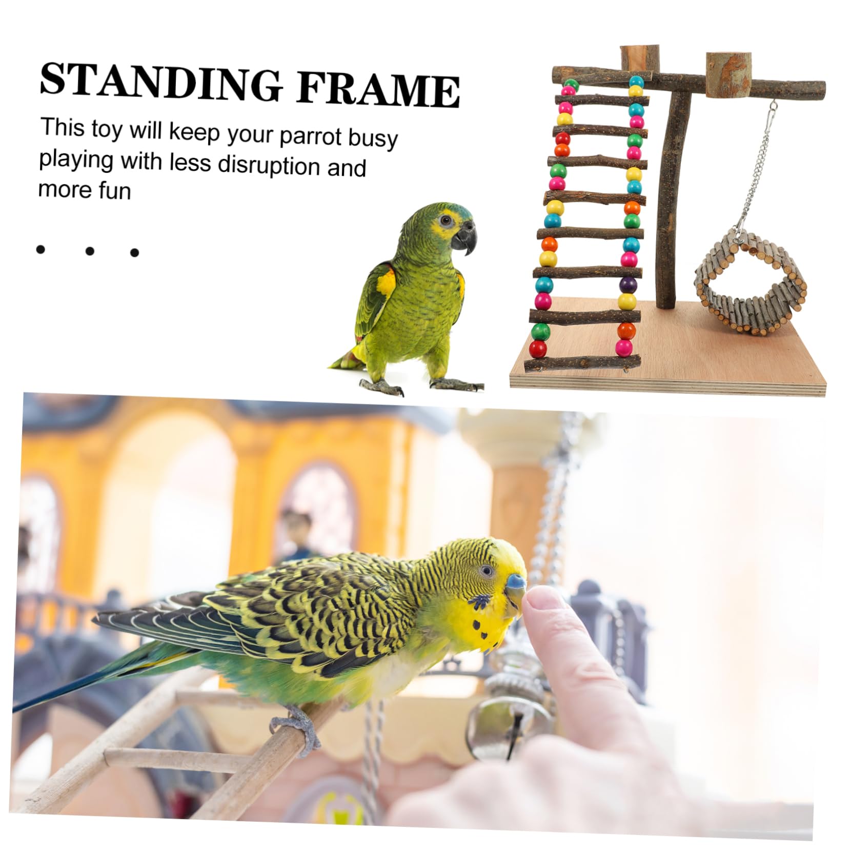 minkissy 1 Juego De Loros Gimnasio De Percha De Madera Estante De Pie para Loros Parque De Aves Parque Interactivo De Aves Juguetes De Agapornis Perico Familiar Marco De Pájaro