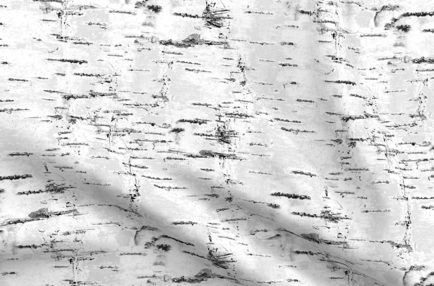 Spoonflower Fabric - Woodland Birch Trees White Gray Neutral Birch Textured Look Bark Aspen Printed on Minky Fabric by The Yard - Sewing Baby Blankets Quilt Backing Plush