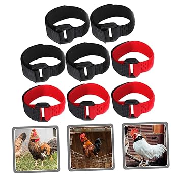 Rooster Neck Feathers Anti Crow Rooster Collar Pack Of 2 Anti Rooster Collars No Crow Neck Belt Prevents Chickens E 1090829