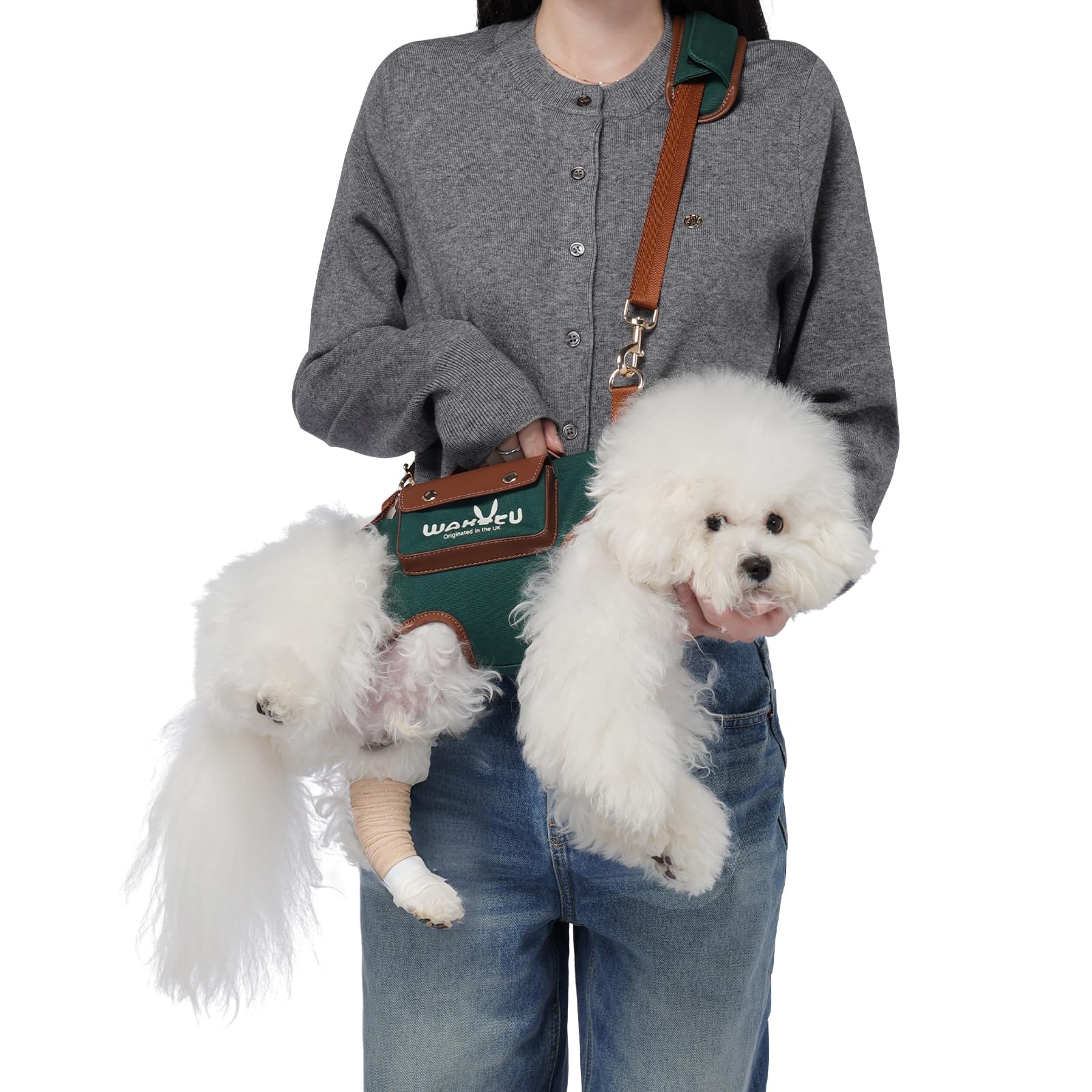 Wakytu Dog Lift Harness Dog Carrier Dog VES Harness Adjustable Dog Leash with Small Puppy Treat Bag（Green,XS） — image 1