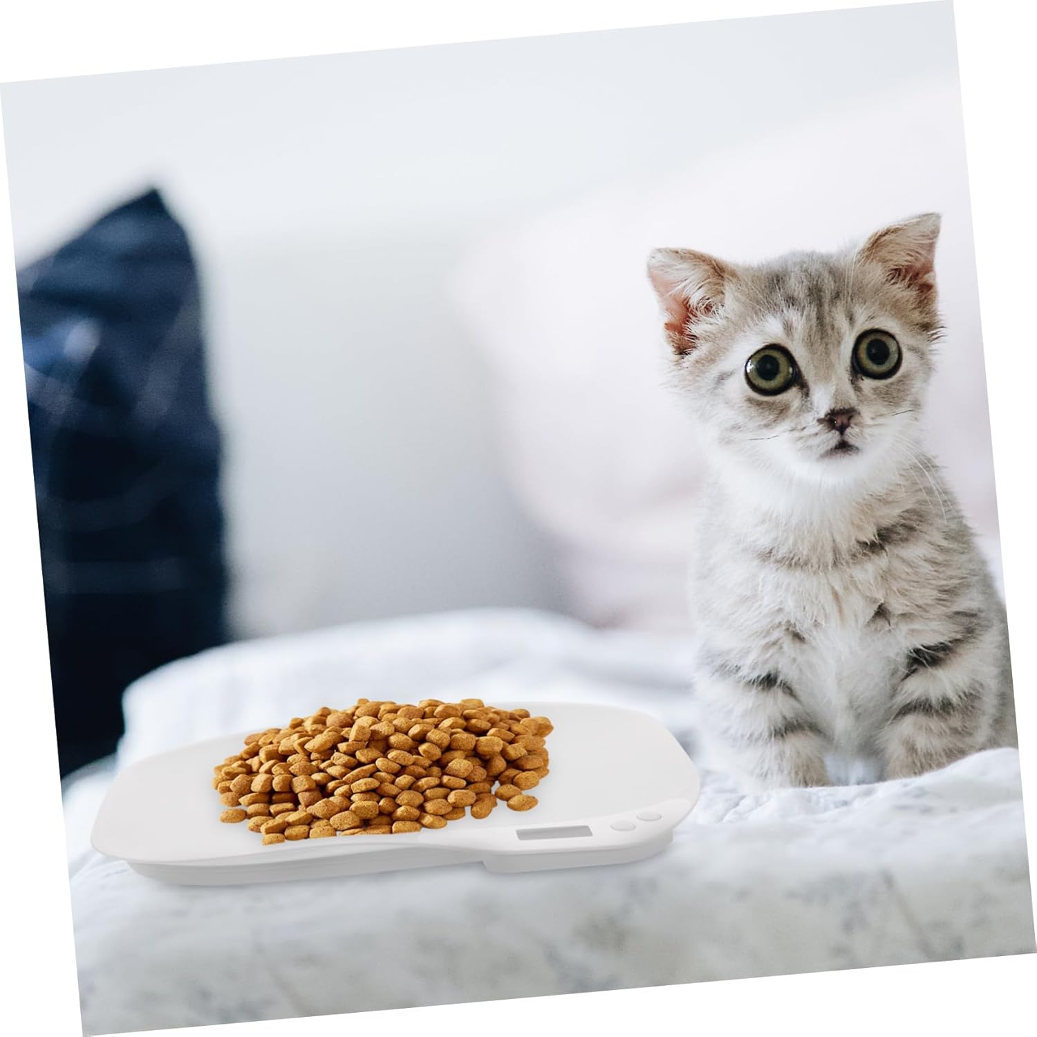 Digital Electronic Pet Scale for Puppies and Kittens Portable Weight Measuring Kit for Home and Veterinary Use Multi Function Food and Animal Weighing Device with LCD Display