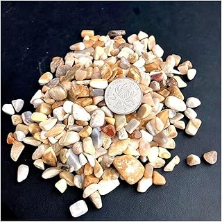 For the 100g Natural Stone Chrysanthemum Stone Coral Jade Crystal Quartz Specimen Rock Chip Gravel Rough Raw Energy Decoration Decorative Stones for Home