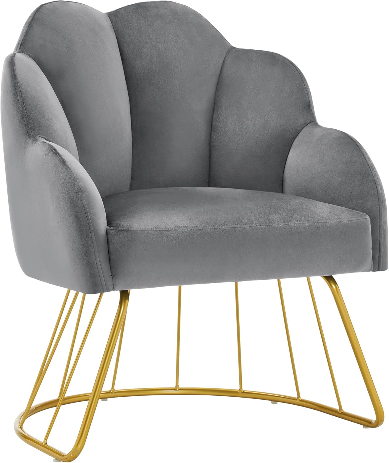 BarberPub Living Room Chair, Manicure Chair for Egypt Ubuy