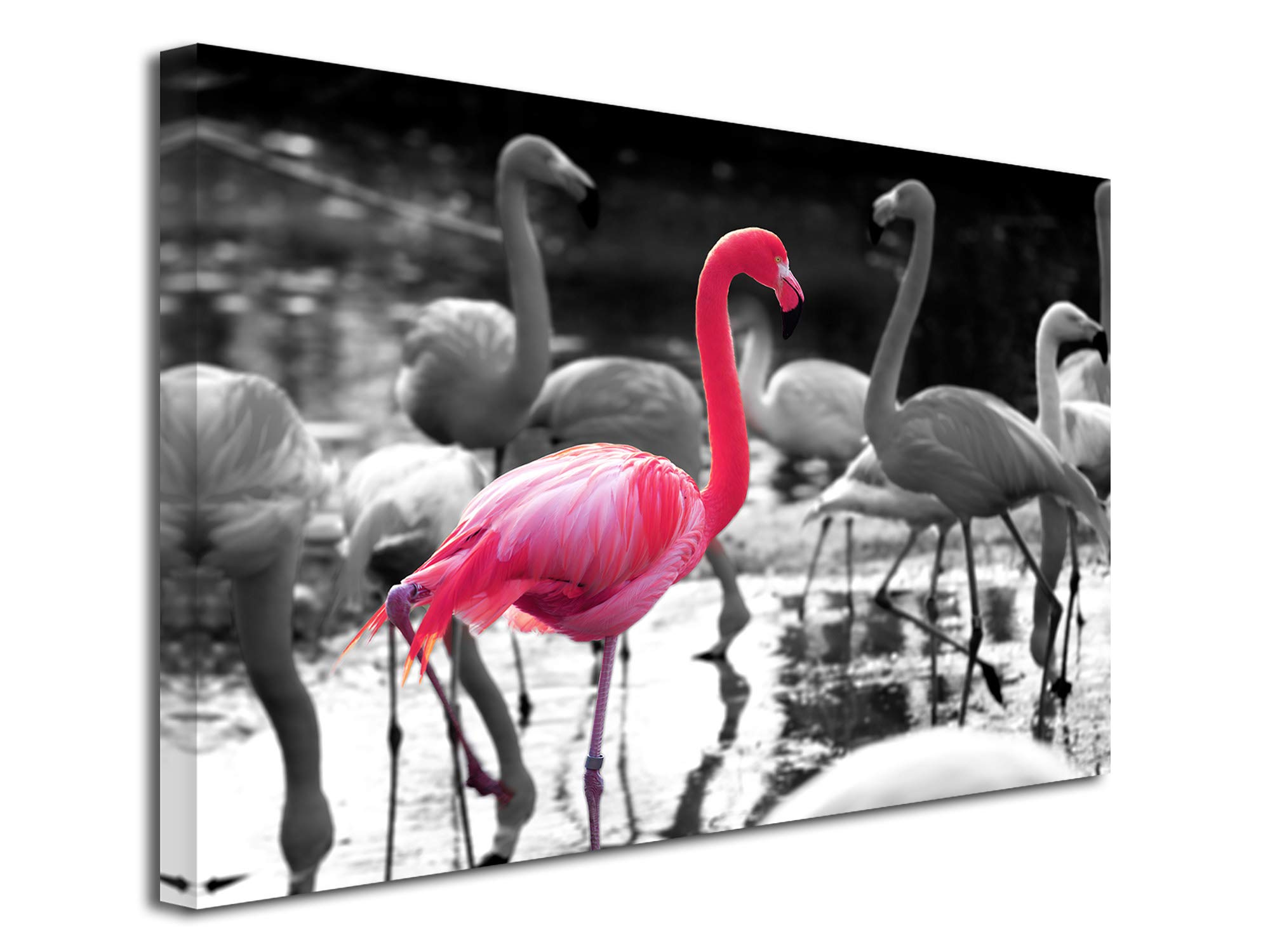 DECLINA, Quadro Decorativo da Parete per Soggiorno Moderno, Quadro Decorativo da Parete, Tela Decorativa con Fenicotteri Rosa 50 x 30 cm, Canvas, Nero e Bianco, 120x80 cm