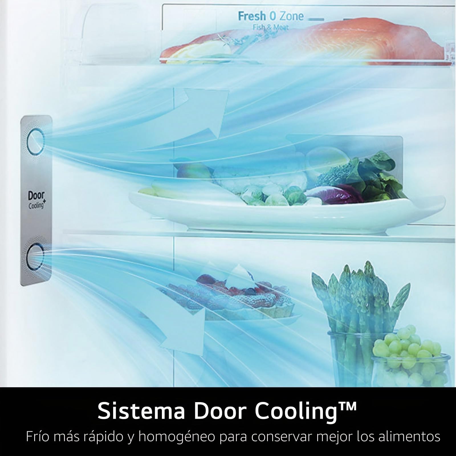 LG GTB744PZHED - Refrigerador de doble puerta Clase E 506L con conexión Wi-Fi App Thinq, Door & Linear Cooling, cajón a 0 grados, gestión de humedad, compresor Smart Inverter