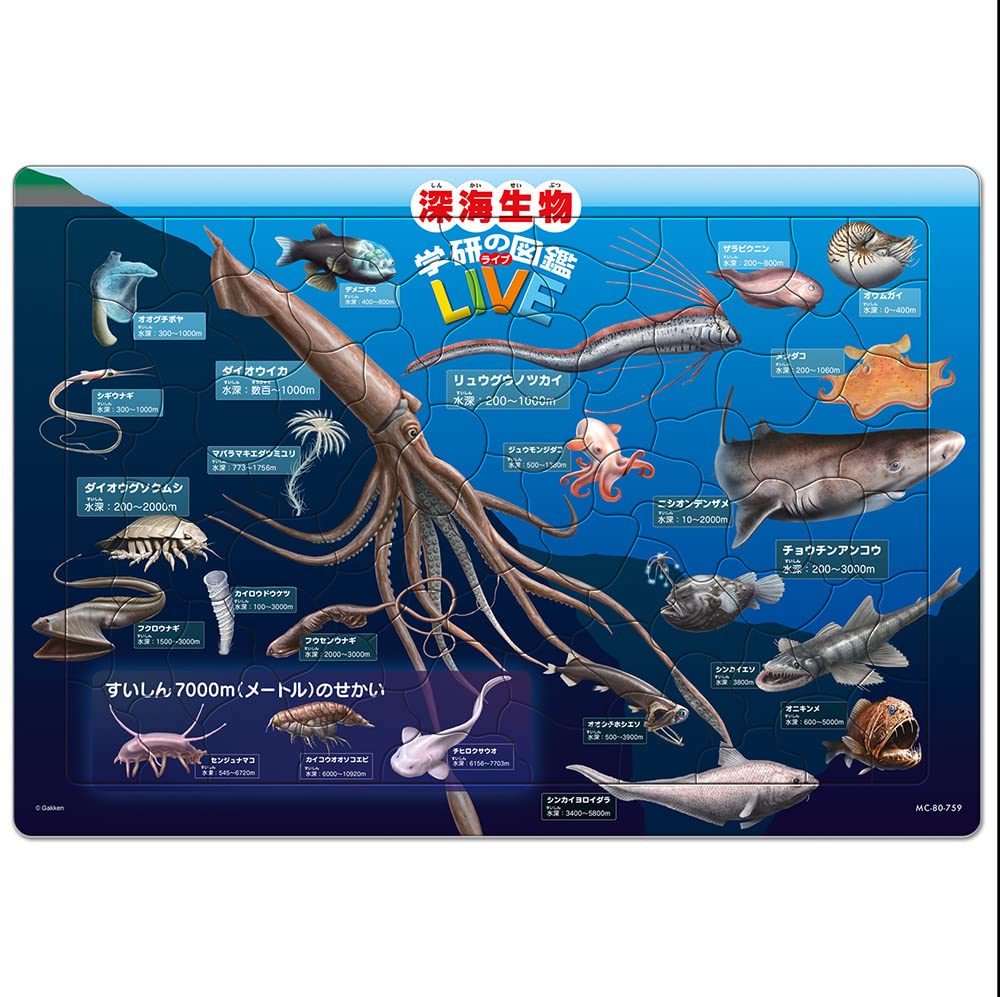 自然大博物館/学研生物図鑑 2点セット Amazon | チャイルドパズル 深海生物図鑑（学研の図鑑LIVE） 80