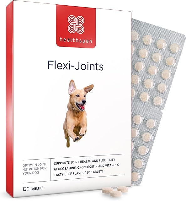 healthspan Flexi-Joints For Dogs (120 Tablets) | High Strength Glucosamine & Chondroitin | With Vitamins C & E | Formulated to Support Joint Mobility | Beef Flavoured