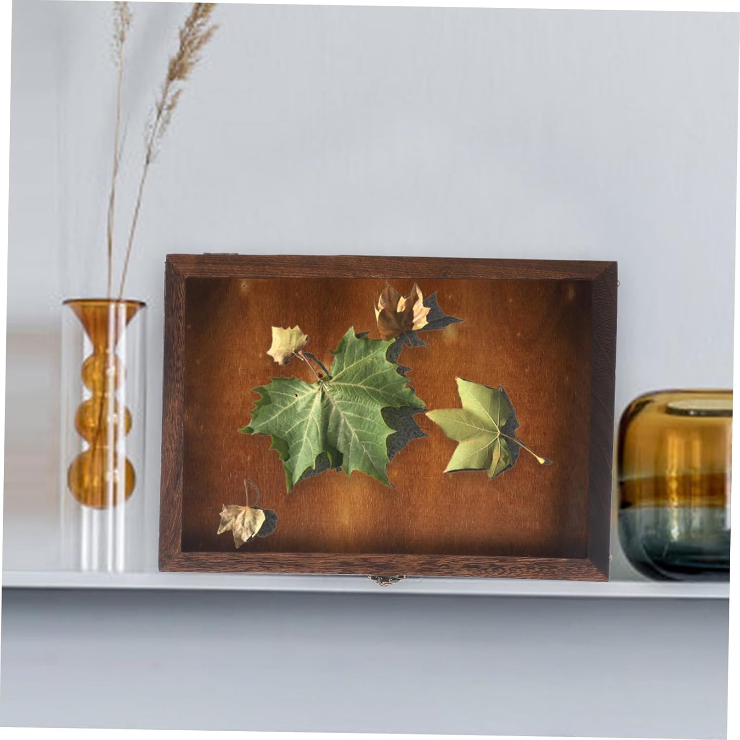 Specimen Frame Case Collection Box Dried Flower Storage Case Vintage Specimen Box