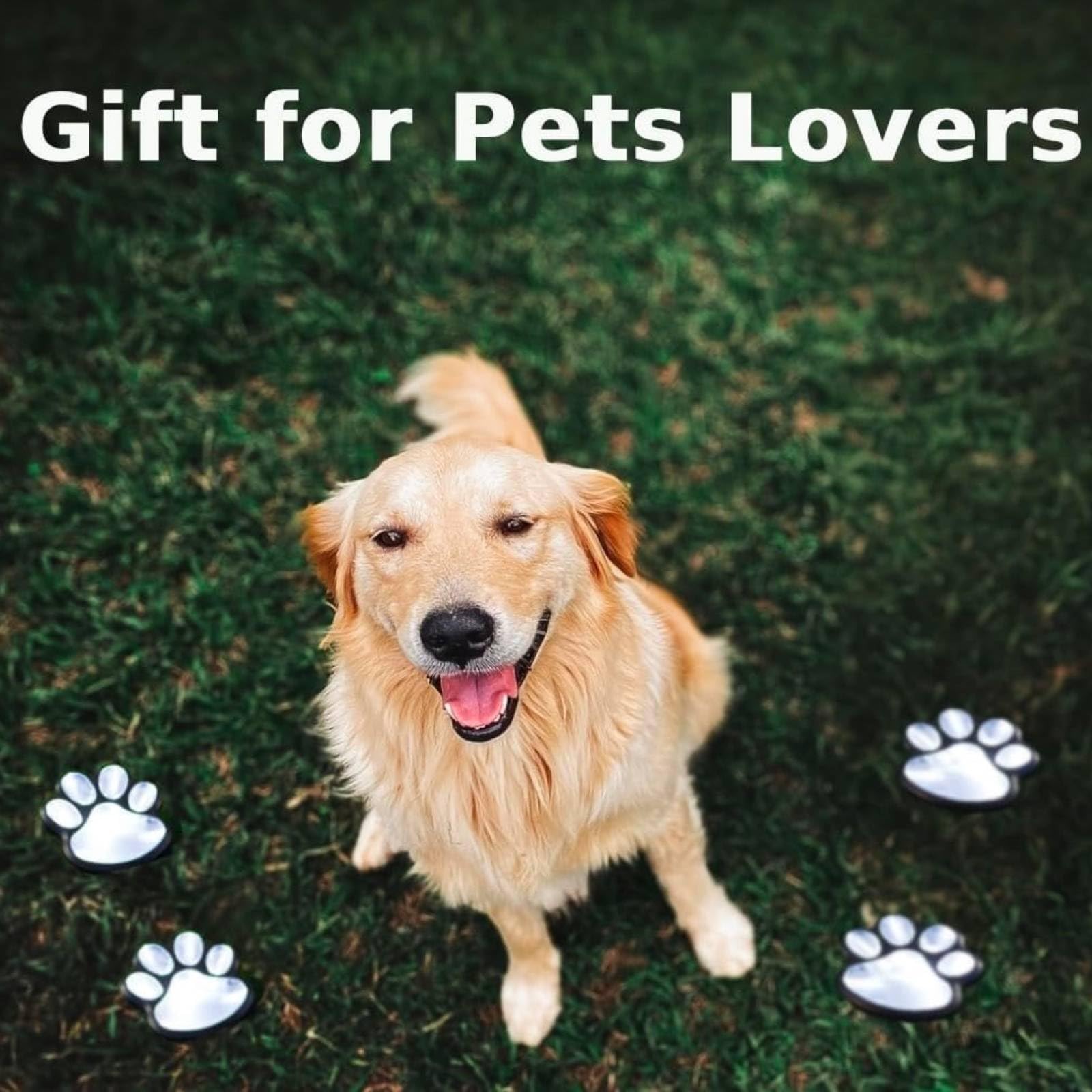 View 7